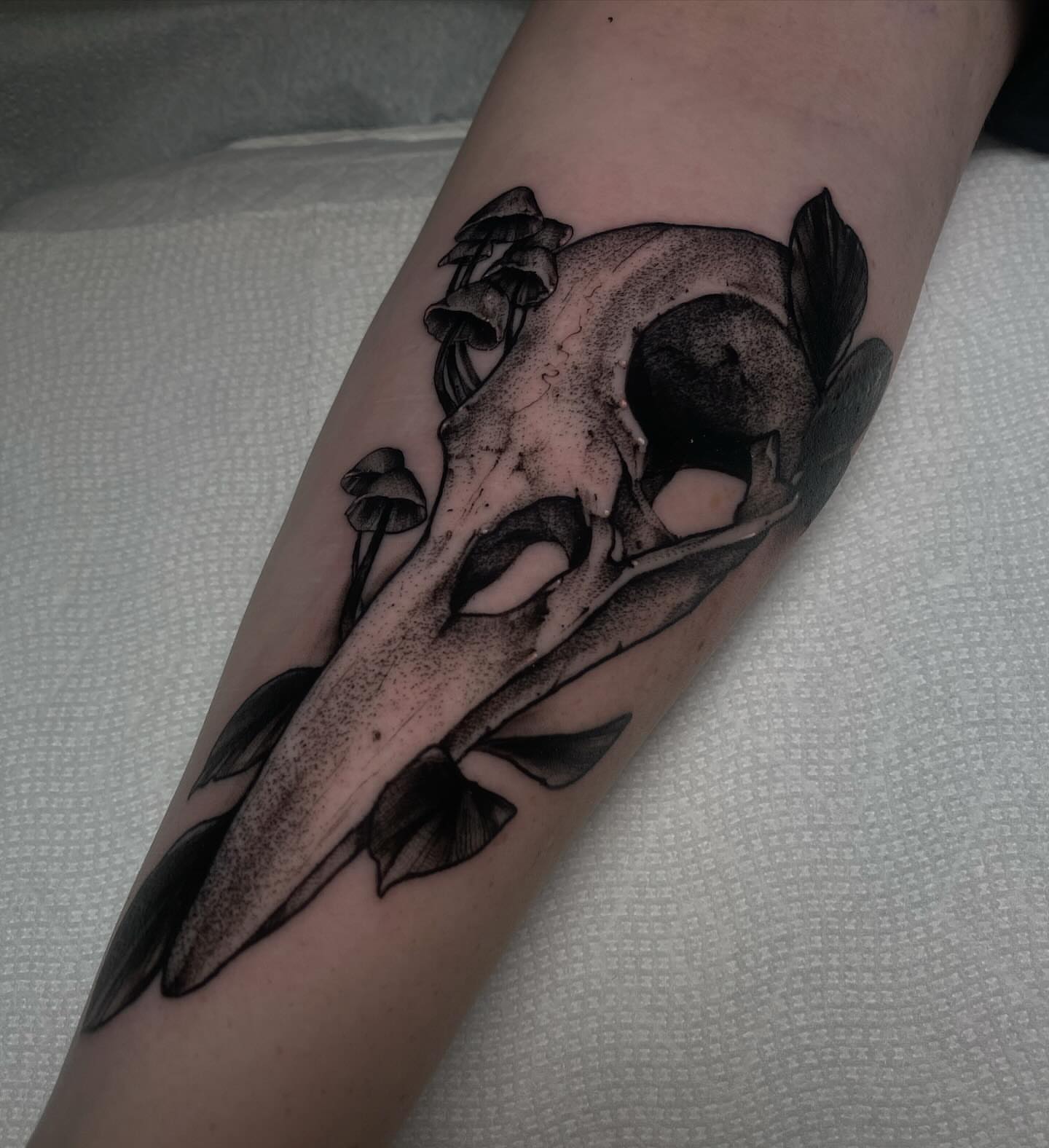 Tattoo by @cassangelotattoo — dotwork, realism
