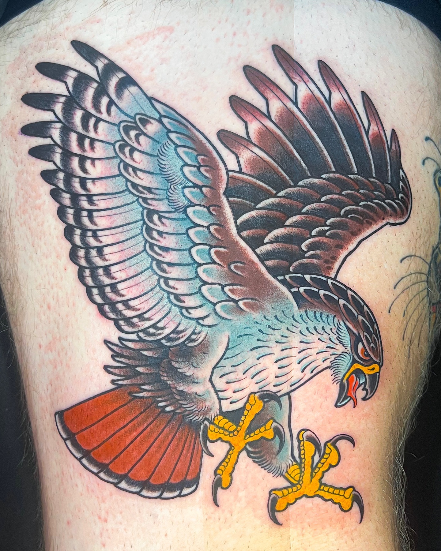 Tattoo by @curtbaer — american_traditional