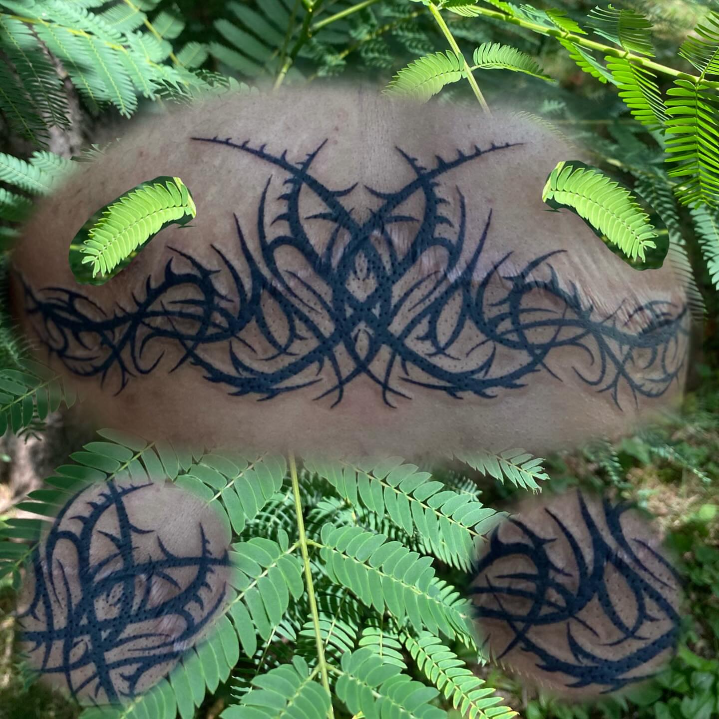 Thorn pattern tribal tattoo on the chest by Maddy ⁂, Murfreesboro, Tennessee