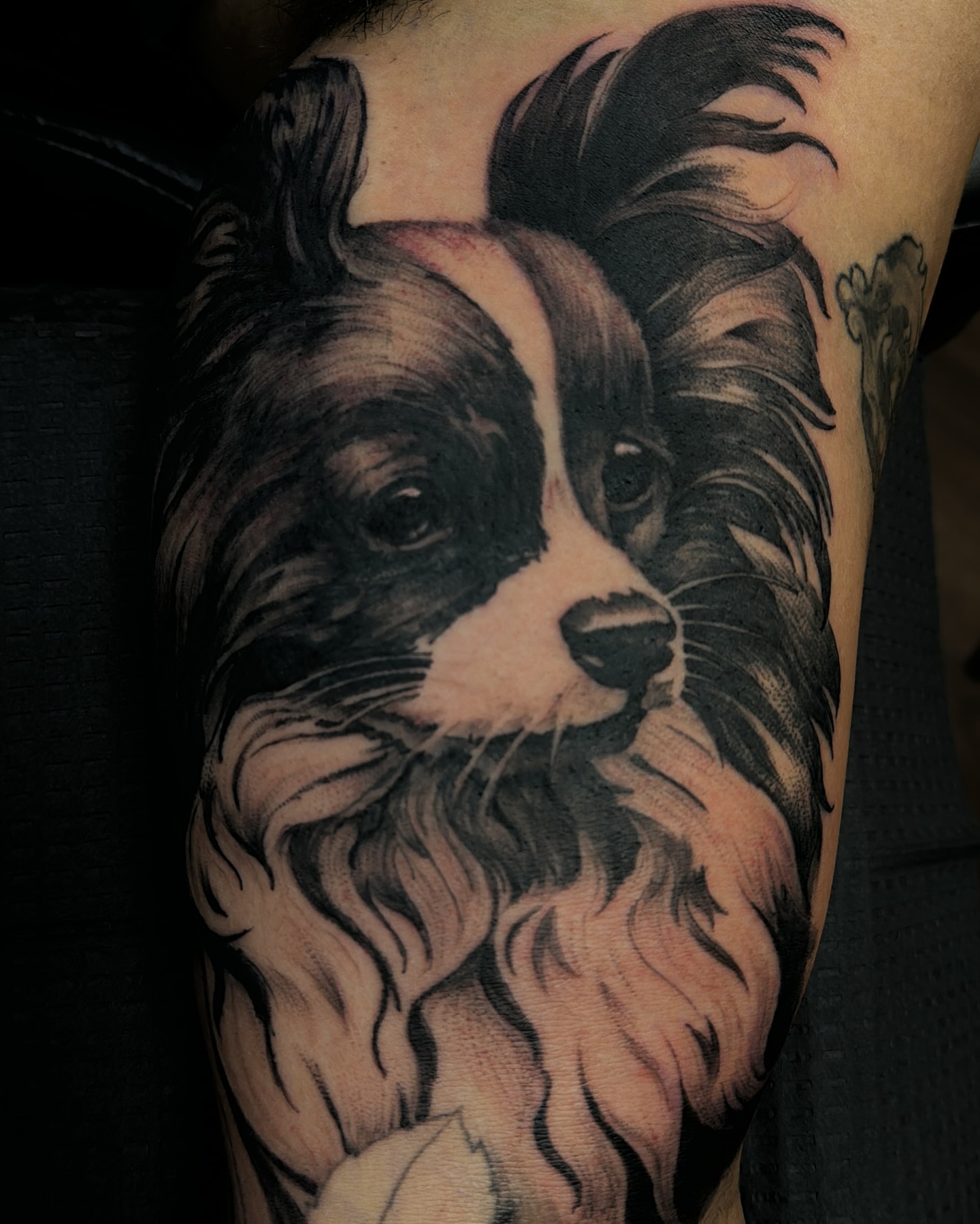 Dog realism tattoo on the forearm by Paul Jack II ⚜️ Tattoo Artist ⚜️Atlanta