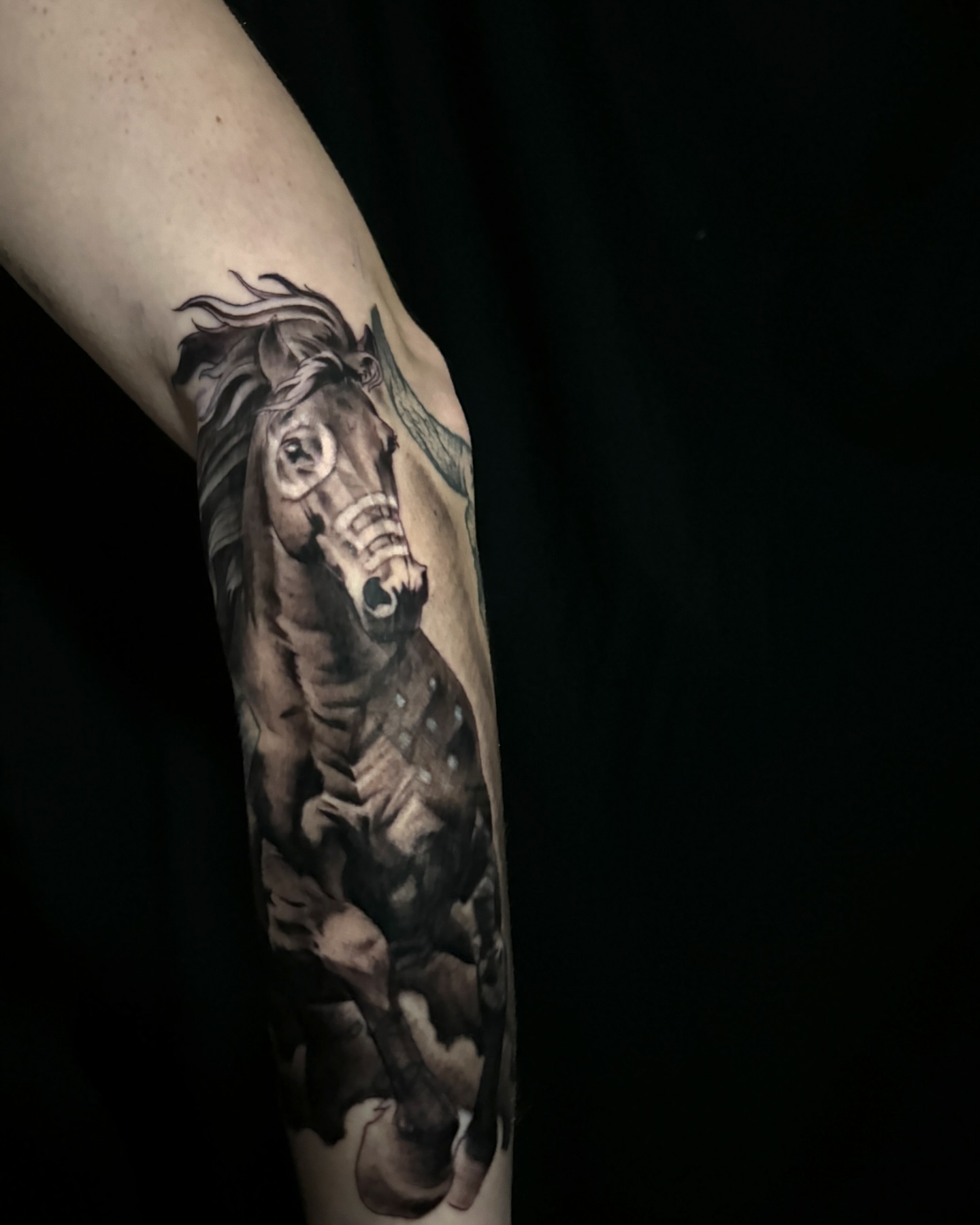 Galloping horse realism tattoo on the forearm by Paul Jack II ⚜️ Tattoo Artist ⚜️Atlanta