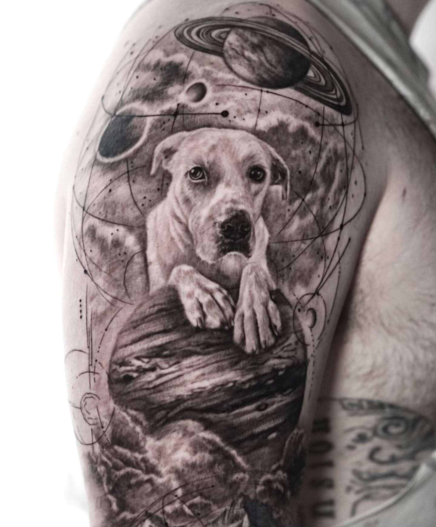 Dog realism tattoo on the forearm by Sabrina Lakhaysy, Fort Worth, Texas
