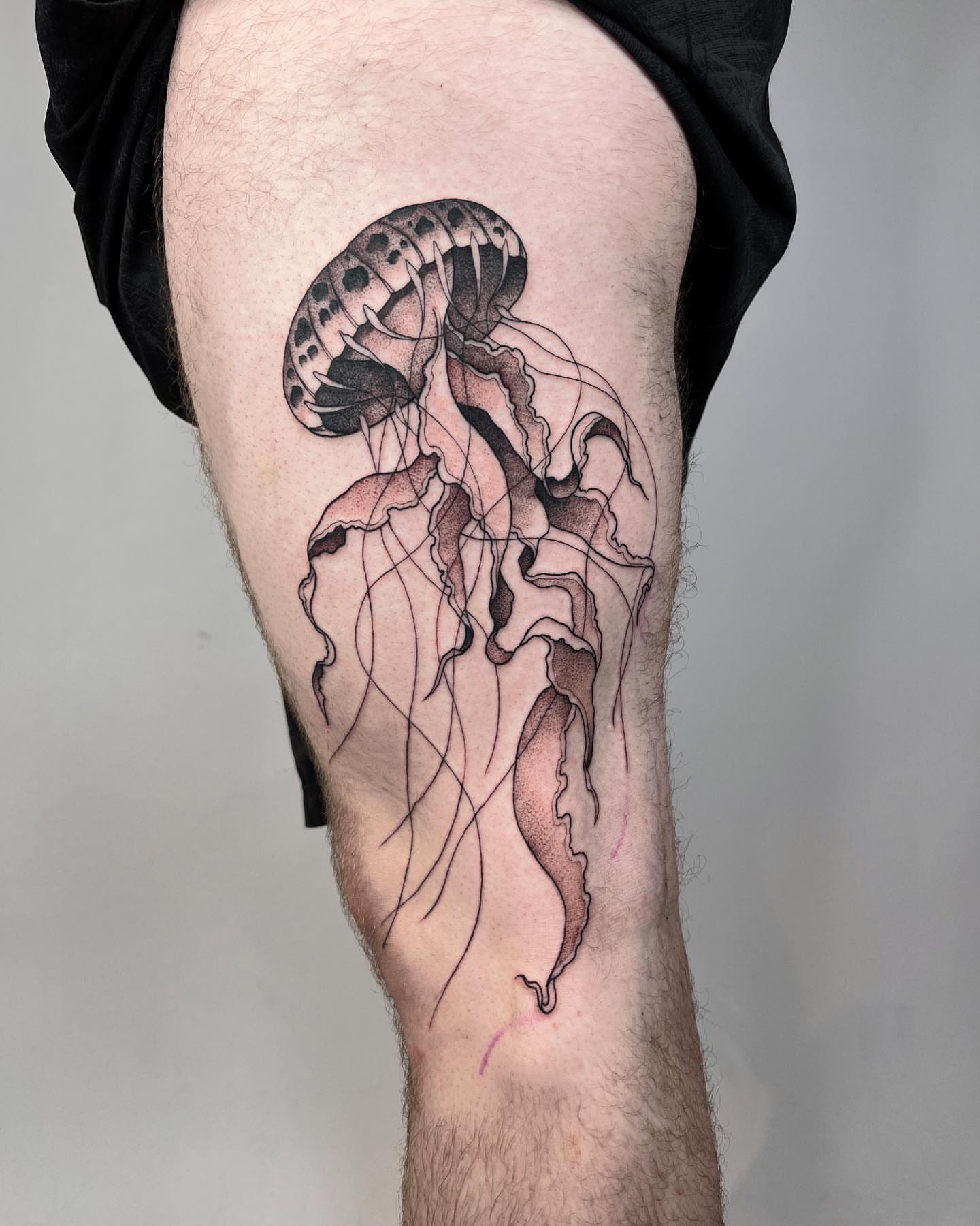 Tattoo by @dolphintattoos — dotwork, realism