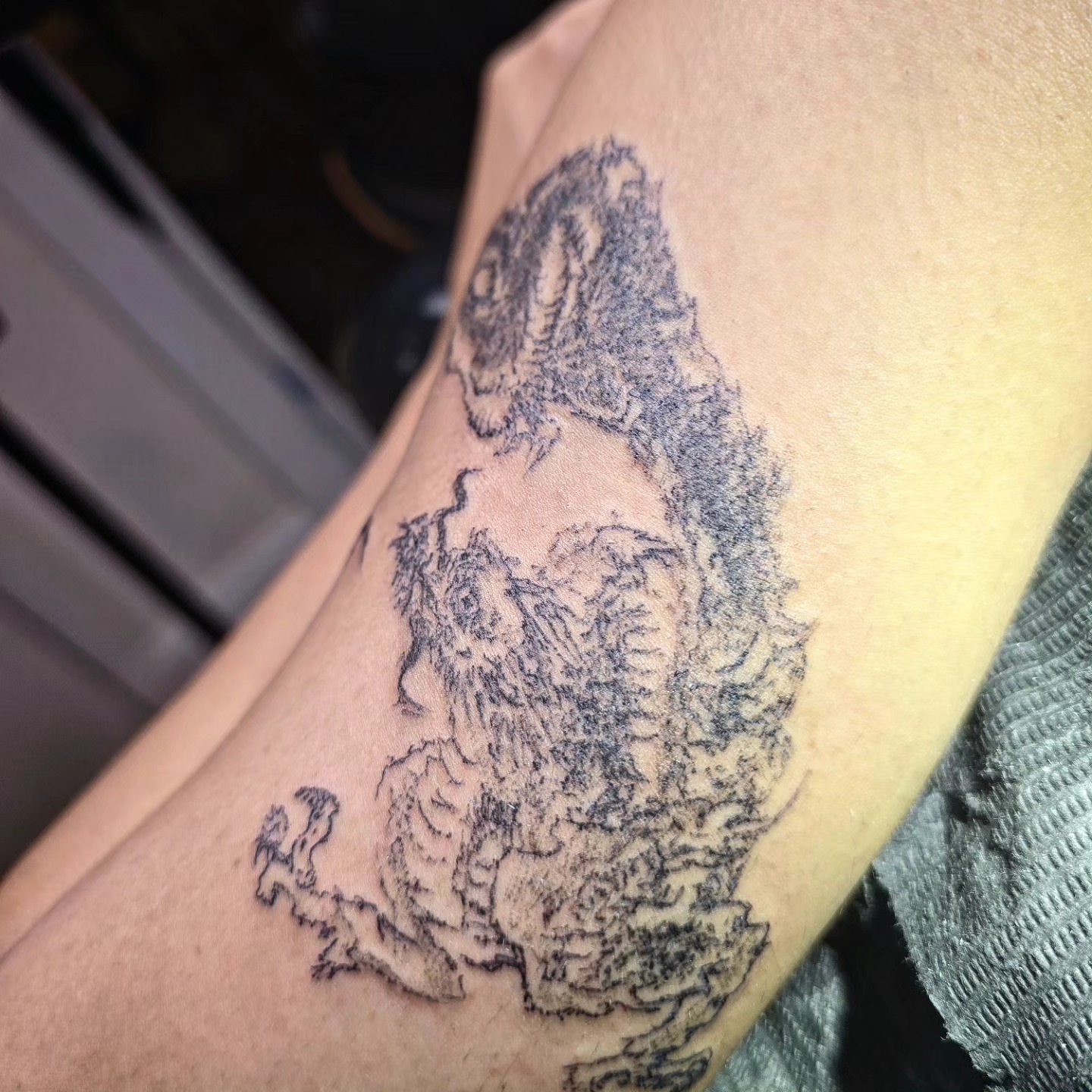 Tree black and grey tattoo on the forearm by Branded ꪉꪗ Brandon ∴ b.liew ∴ Tattoo ∴ NYC