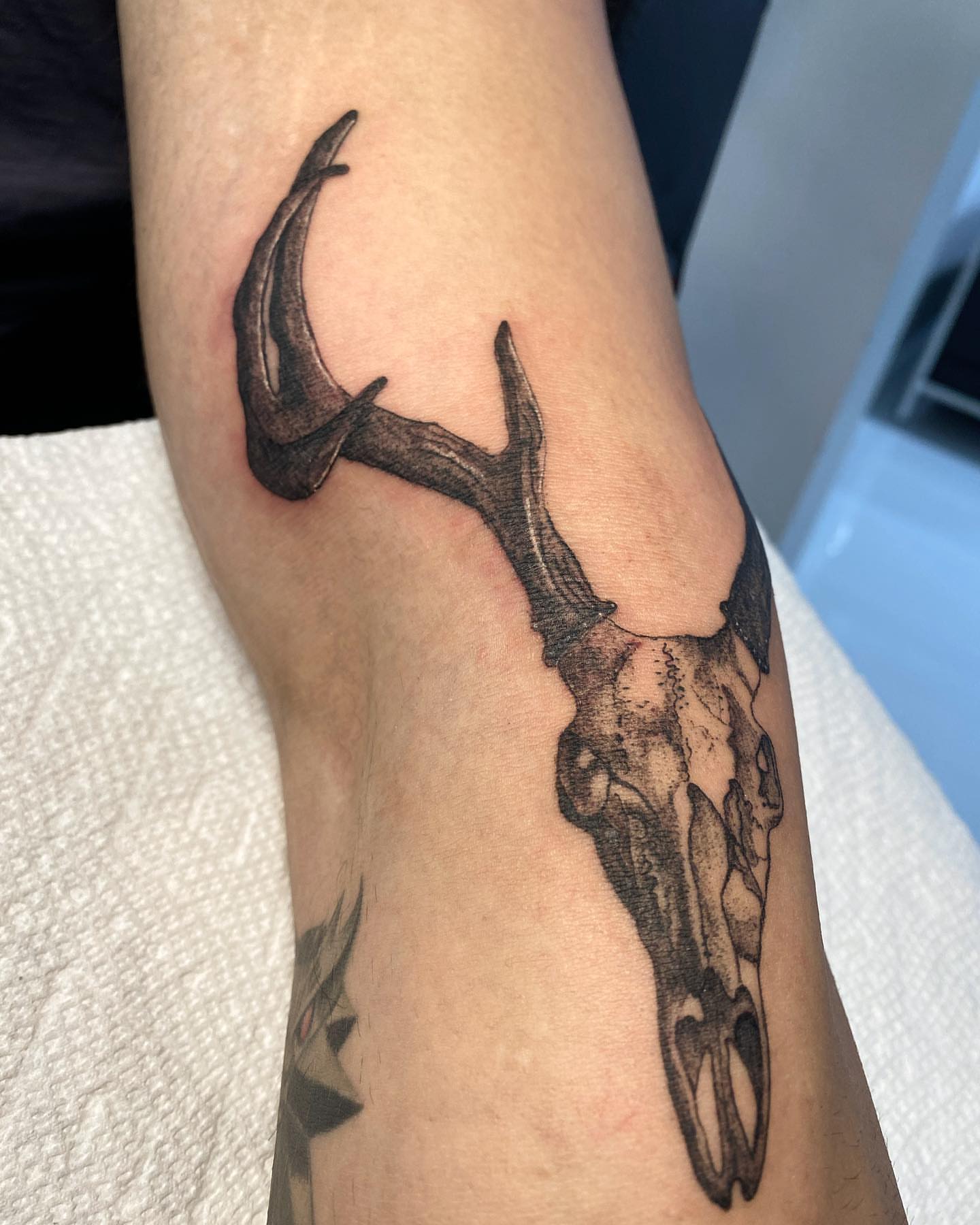 Deer skull realism tattoo on the forearm by ⛓Ireland tattoo⛓