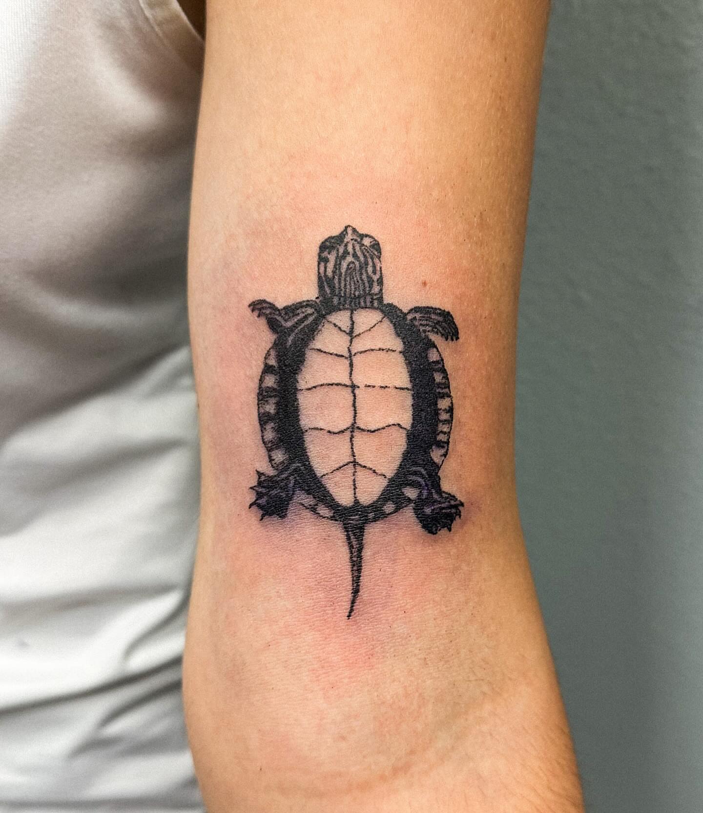 Turtle black and grey tattoo on the forearm by Portland Tattoo Artist