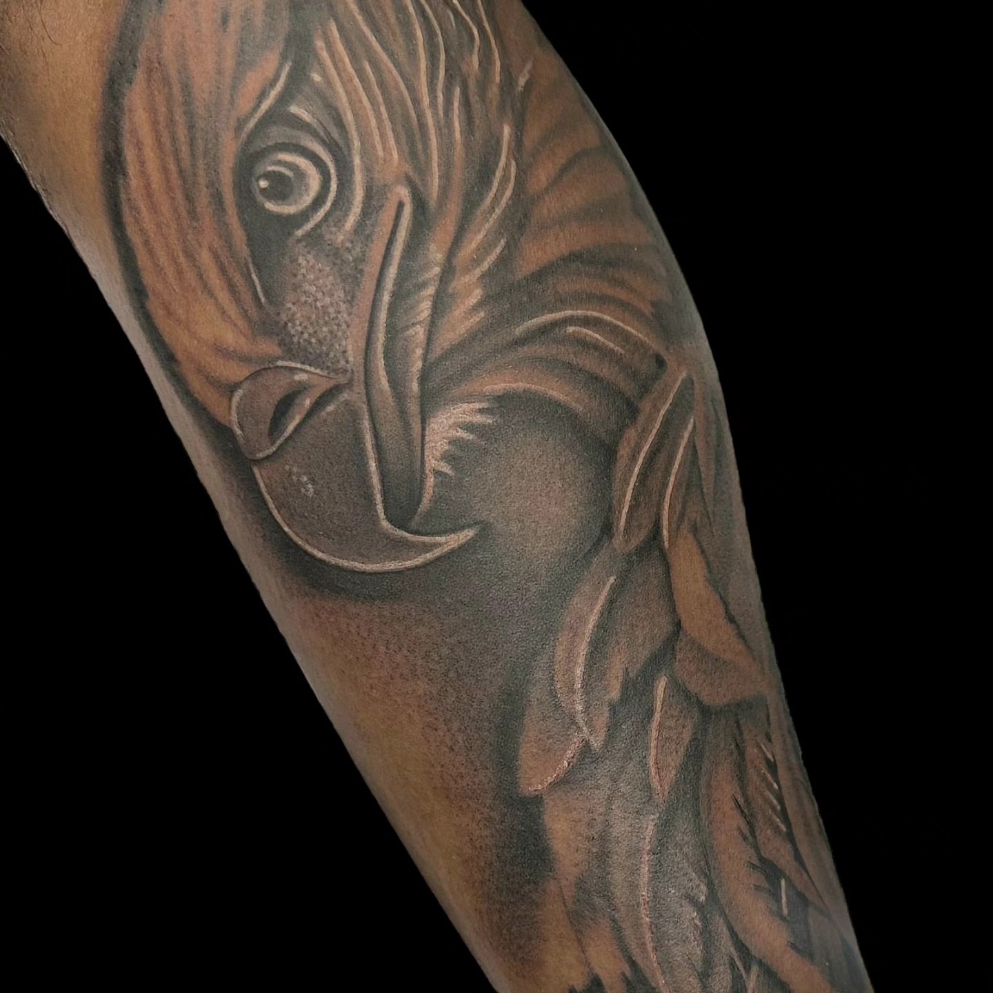 Tattoo by @bigcdotatts — realism
