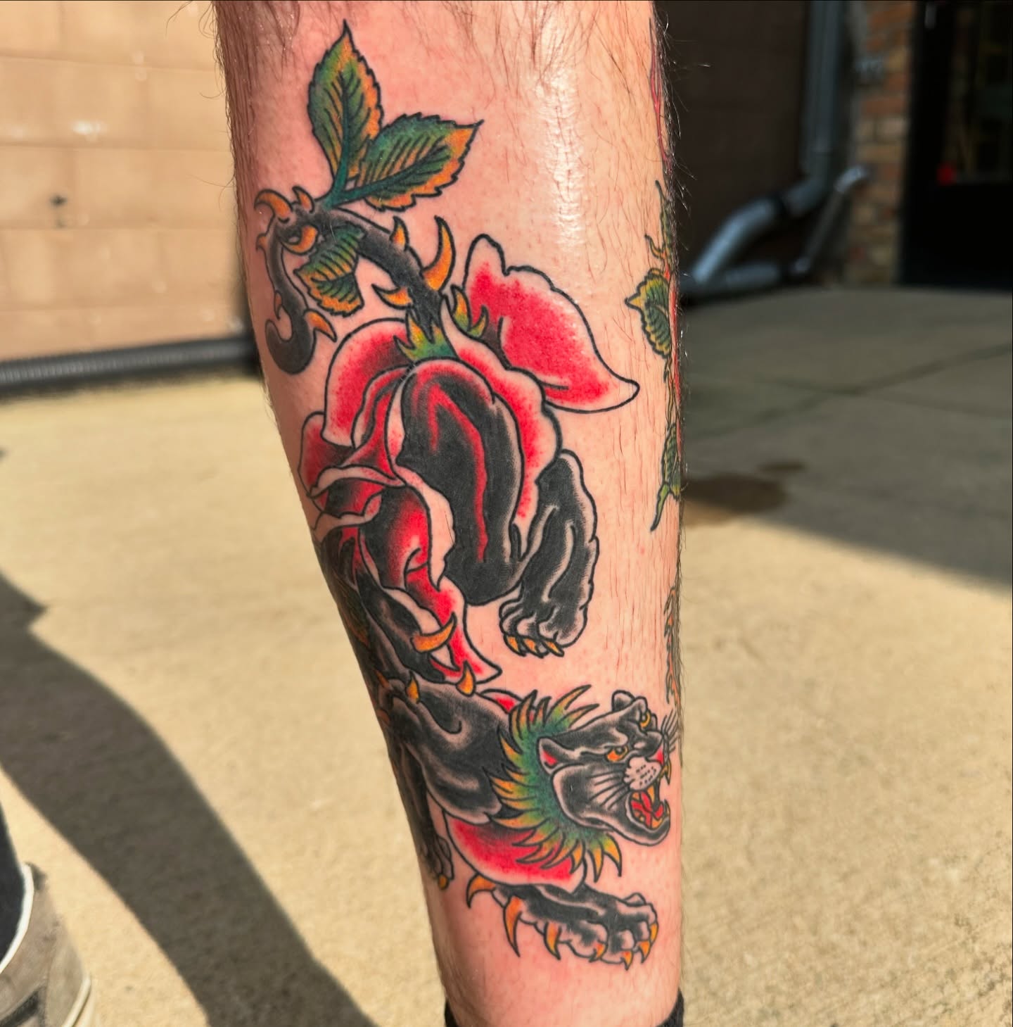 Tattoo by @sethgurdtattoo — american_traditional