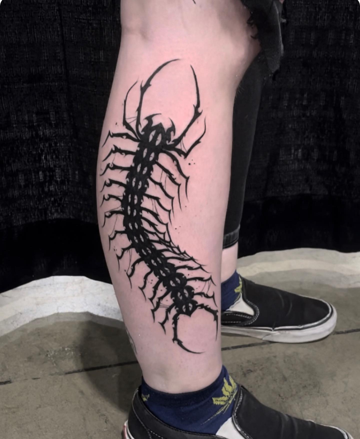Centipede black and grey tattoo on the calf by Turk