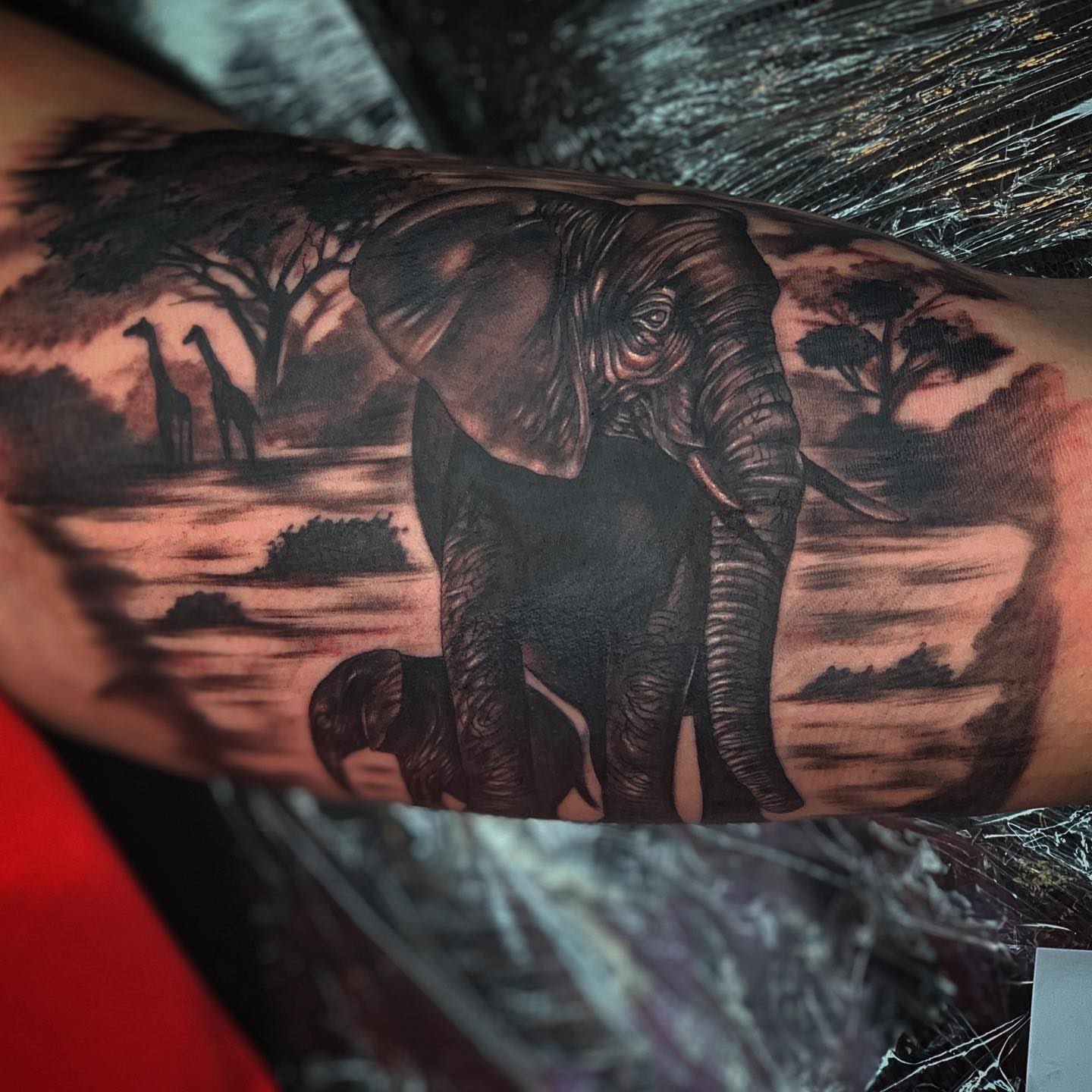 Elephant realism tattoo on the forearm by Anwon Johnson