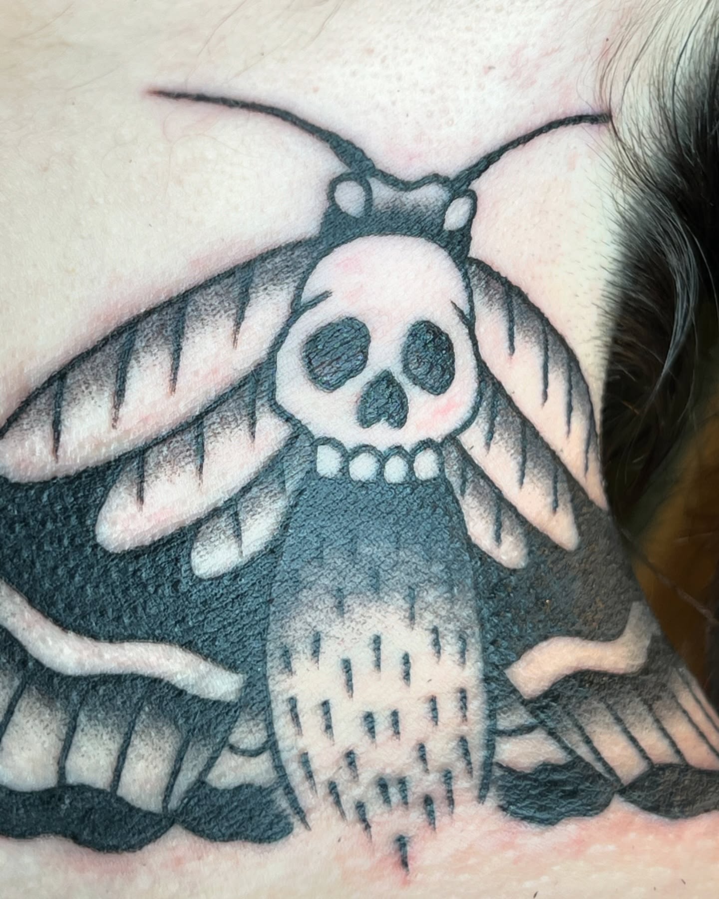 Moth with skull American traditional tattoo on the back by Cory Miller