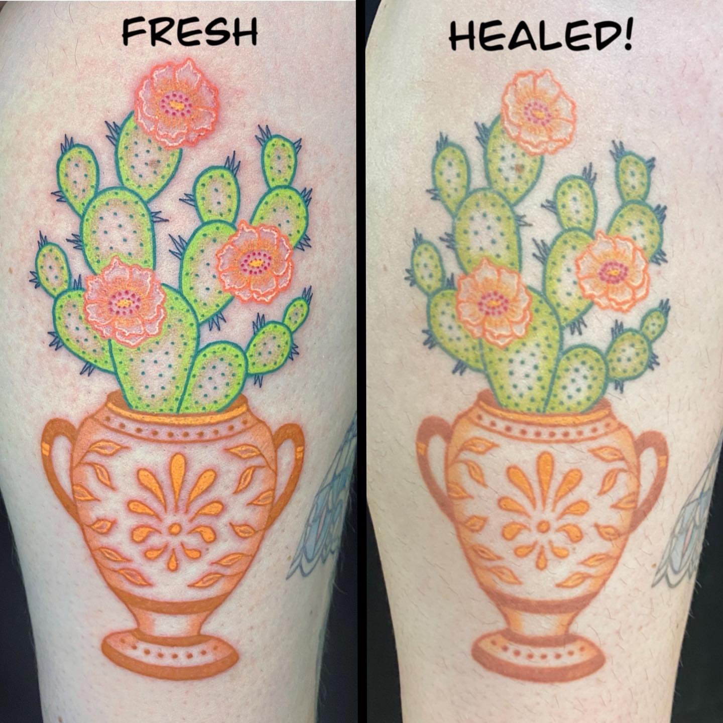 Cactus bouquet dotwork tattoo on the forearm by Krista - Tattoo Artist