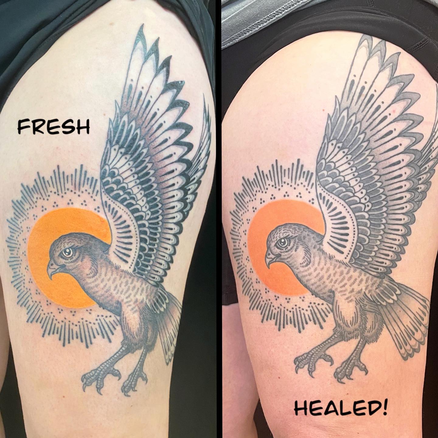 Hawk black and grey tattoo on the shoulder by Krista - Tattoo Artist