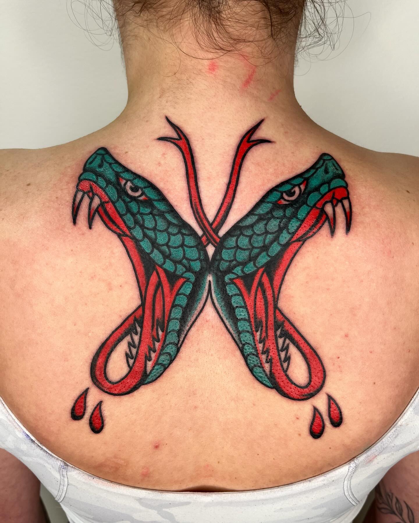 Snakes American traditional tattoo on the back by zach arlan, Kansas City, Missouri