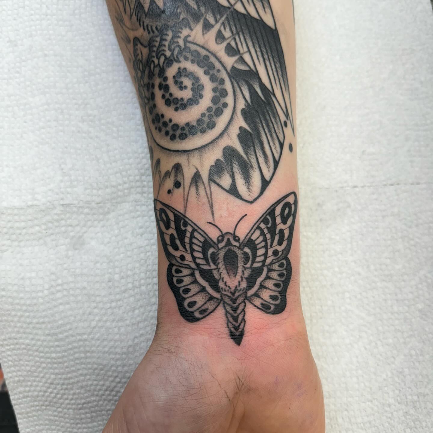 Moth dotwork tattoo on the forearm by Ethan Bennett