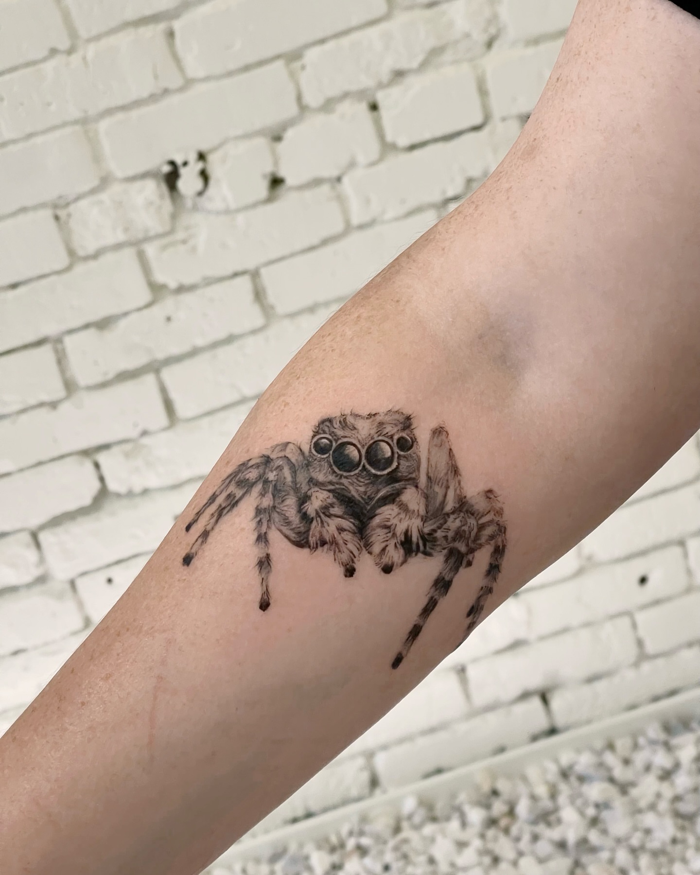 Jumping spider realism tattoo on the forearm by Seattle Tattoo Artist PingPing, Seattle, Washington
