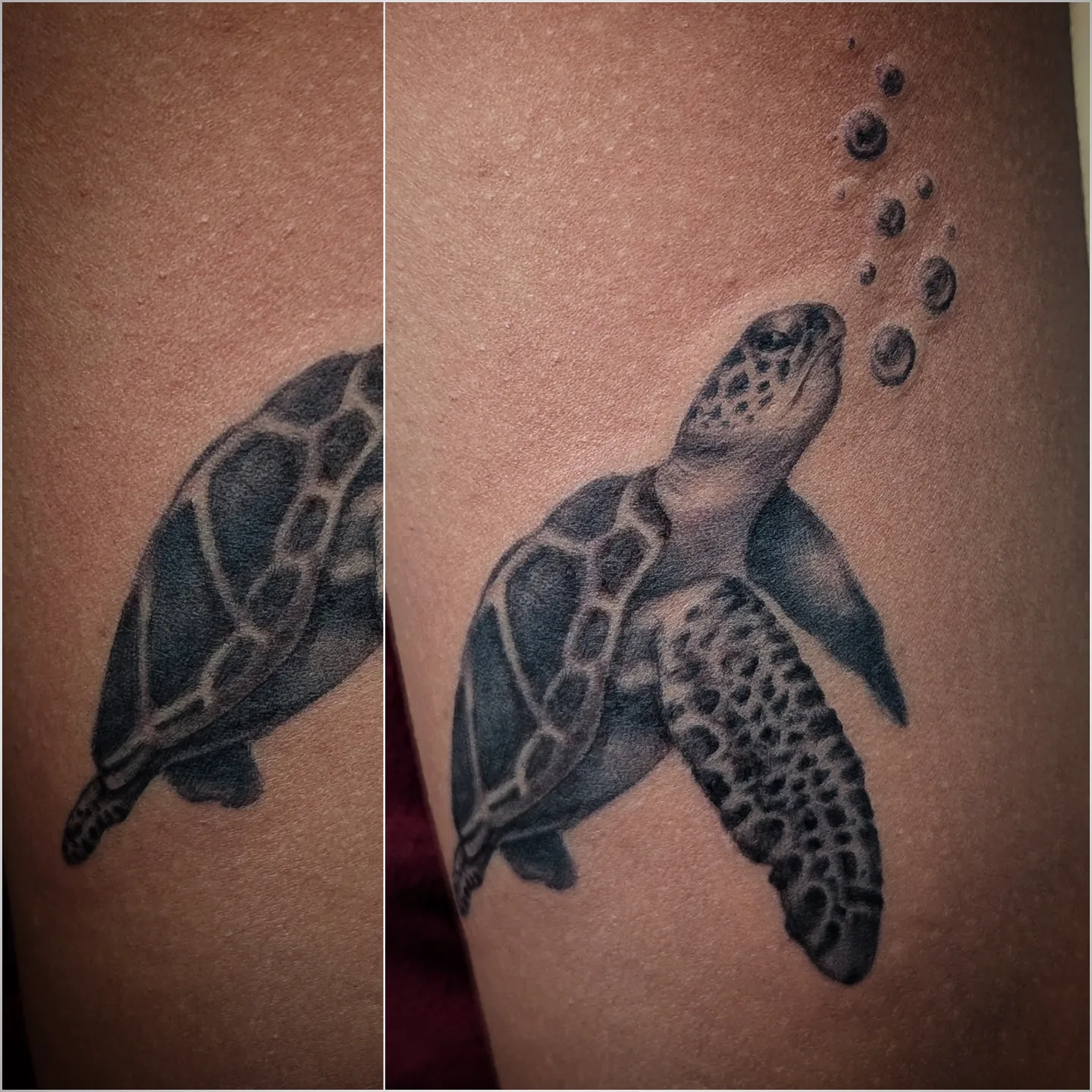 Turtle realism tattoo on the thigh by Lorelei