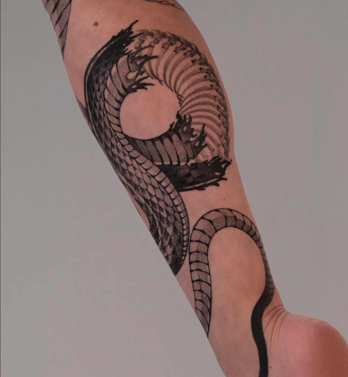 Snake dotwork tattoo on the forearm by bayun.tattoos