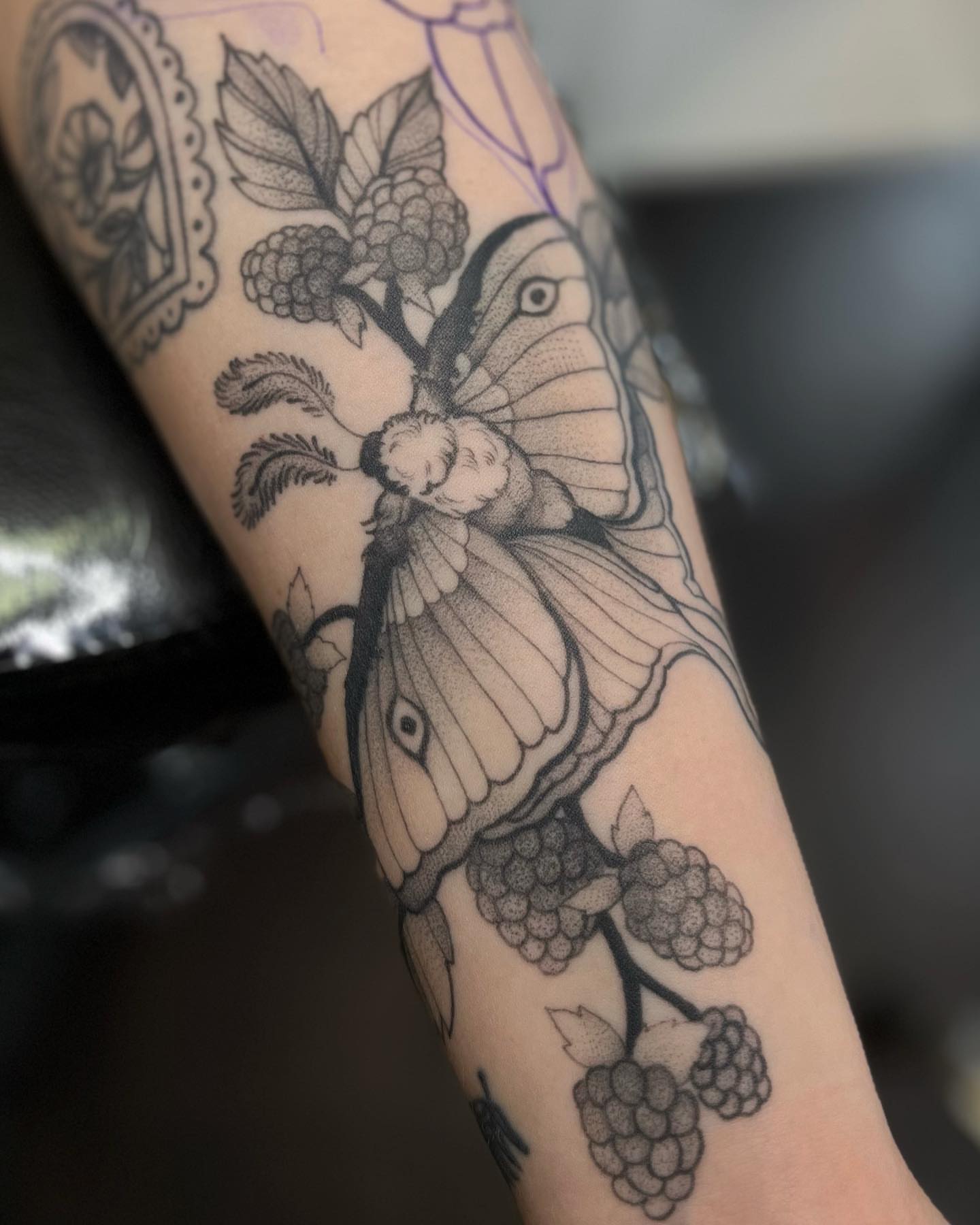 Moth and berries dotwork tattoo on the forearm by ✣ Liz Karn ✣