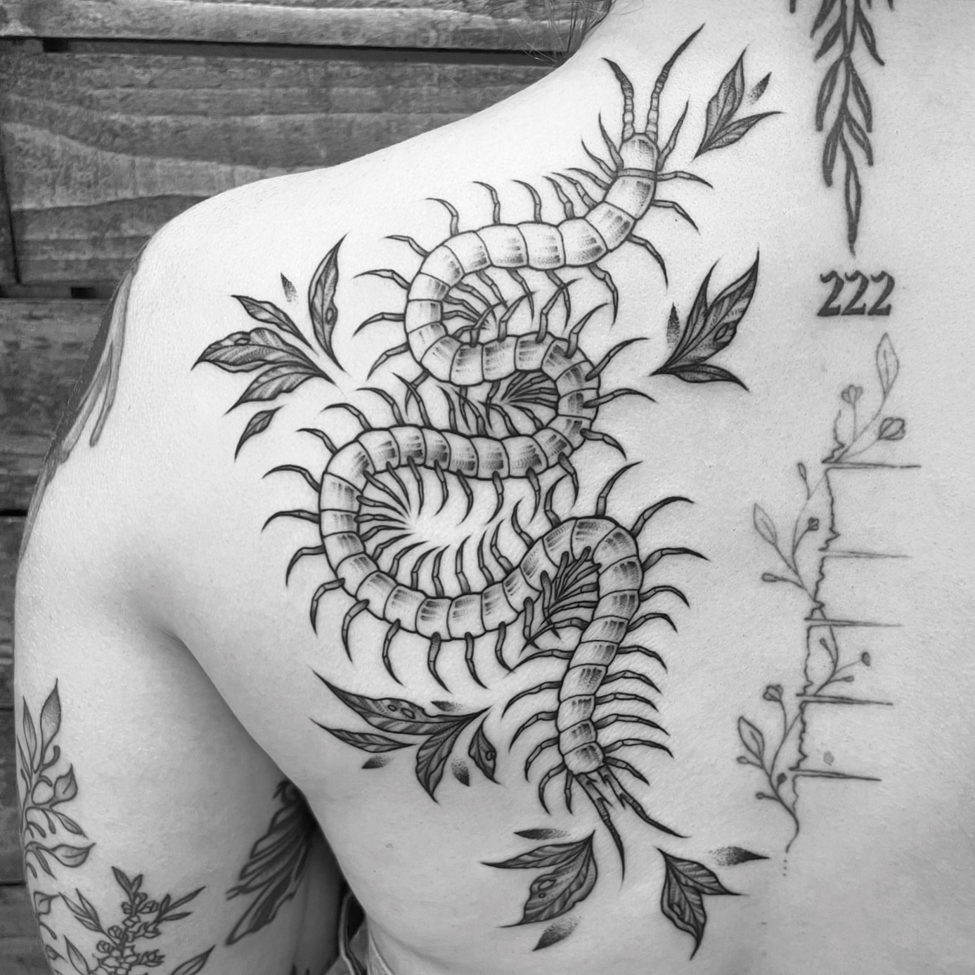 Centipedes black and grey tattoo on the shoulder by โพ ๐
๐ฏ๐ฆ ๐๐ฌ๐ด๐ข๐ฏ๐ฐ โพ