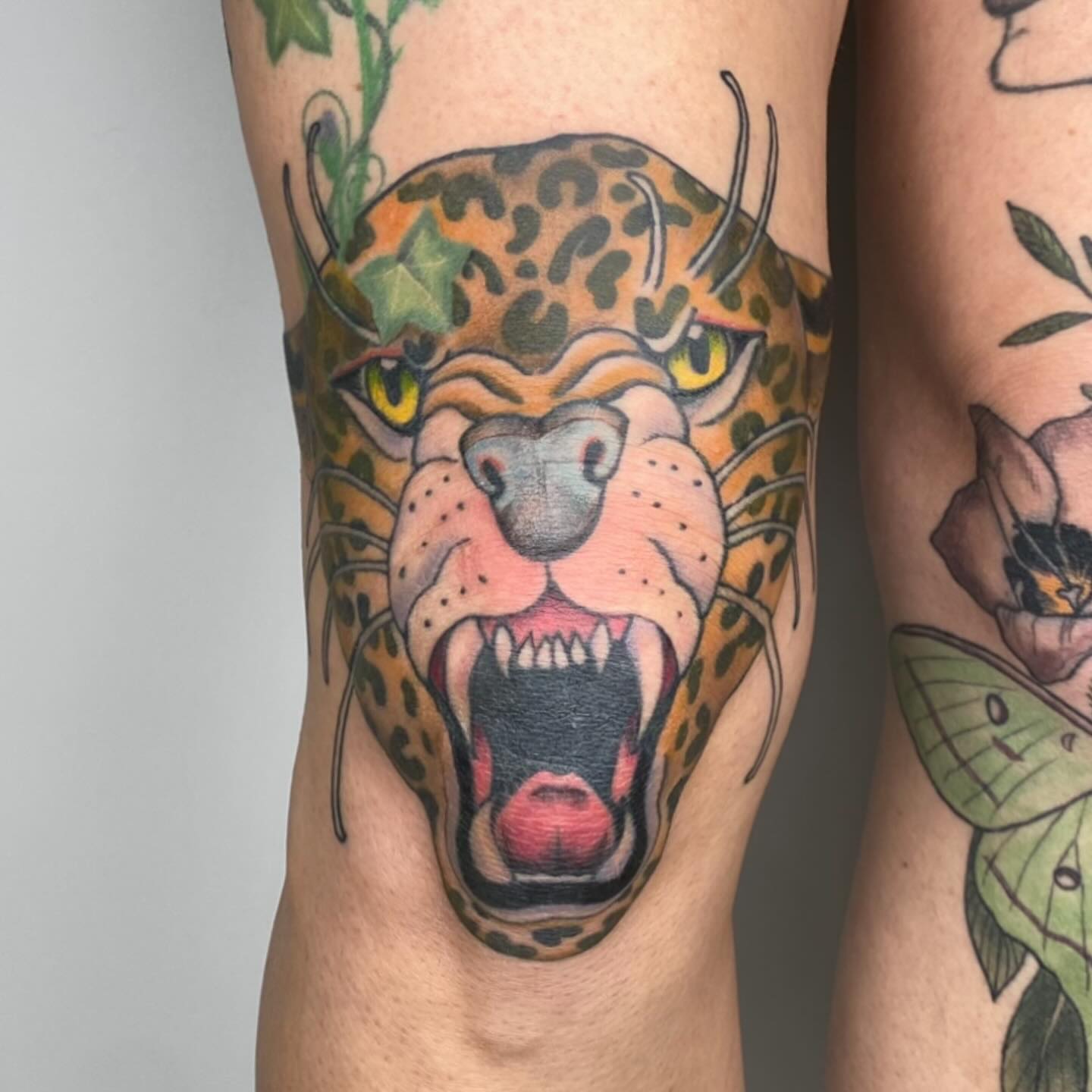 Leopard head American traditional tattoo on the thigh by Amber Lea, Kansas City, Kansas