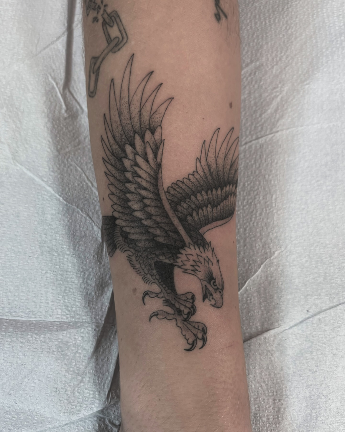 Eagle black and grey tattoo on the forearm by Jake Hodson, Nashville, Tennessee