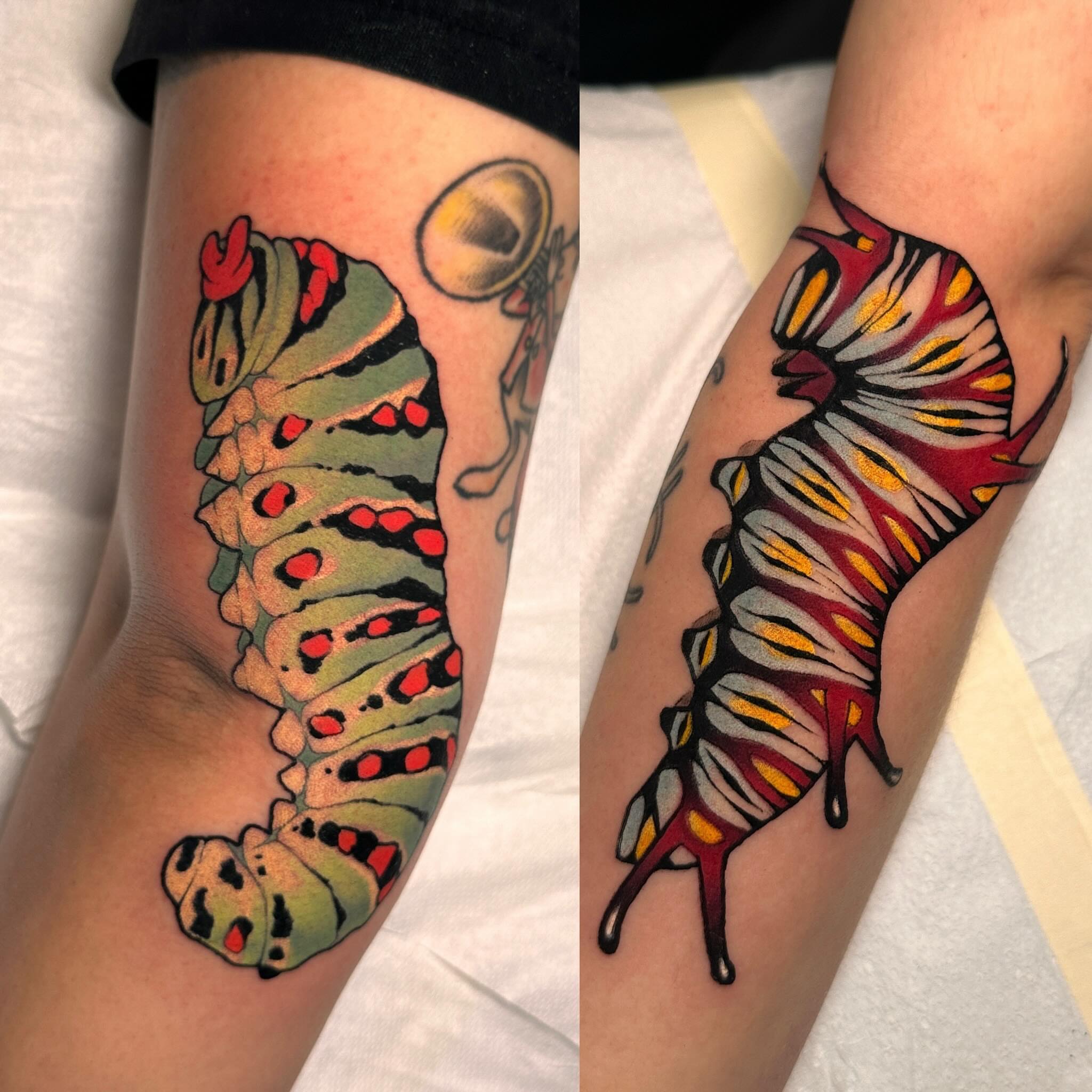 Caterpillar American traditional tattoo on the forearm by Claire Evans, San Francisco, California
