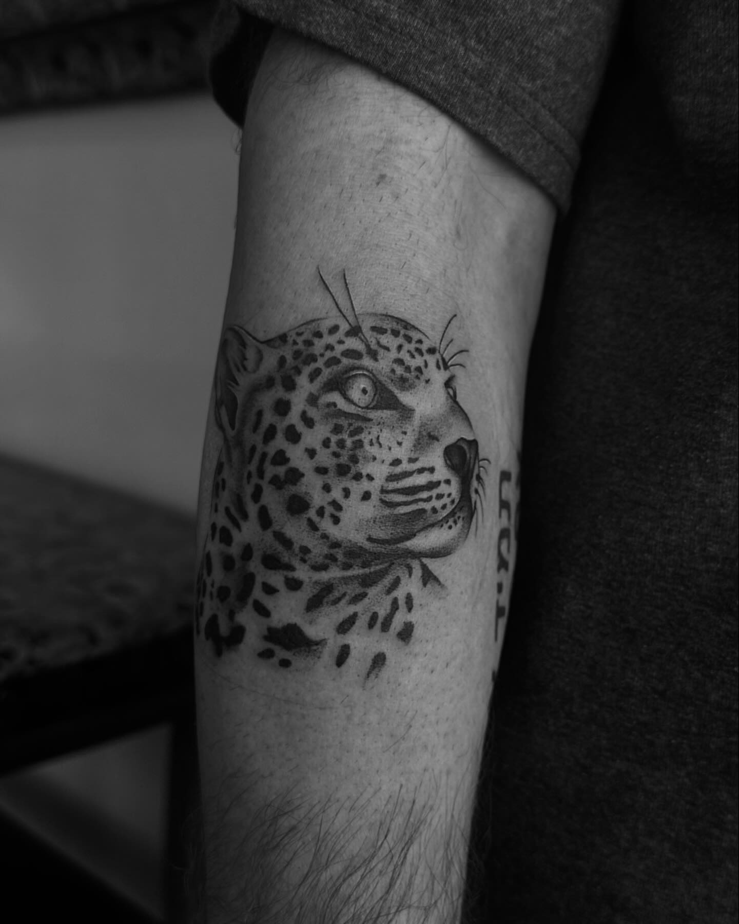 Leopard black and grey tattoo on the forearm by ꕥ LANA MOON TATU ꕥ