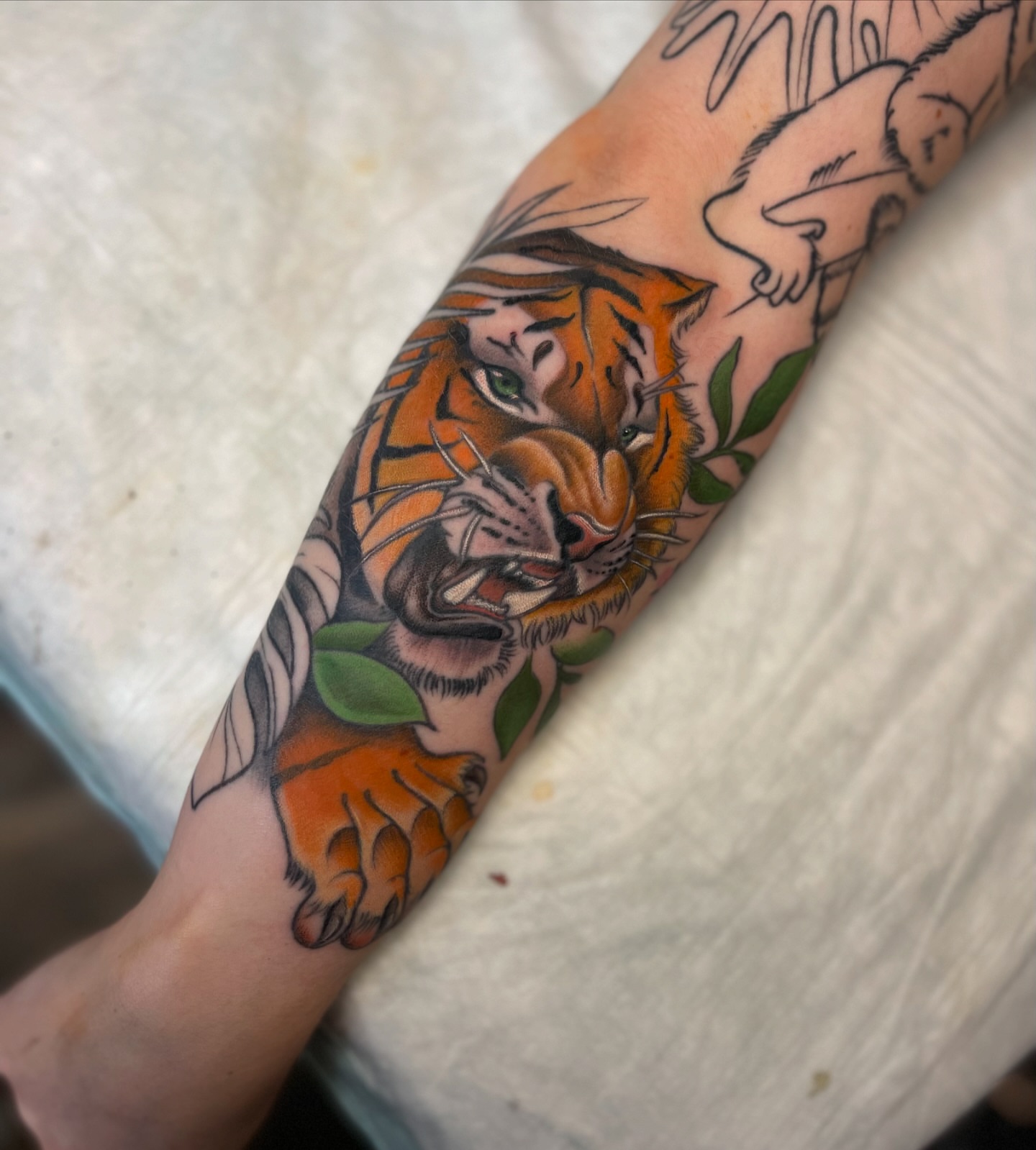 Tiger American traditional tattoo on the forearm by Brittany Welsh, Marlton, New Jersey