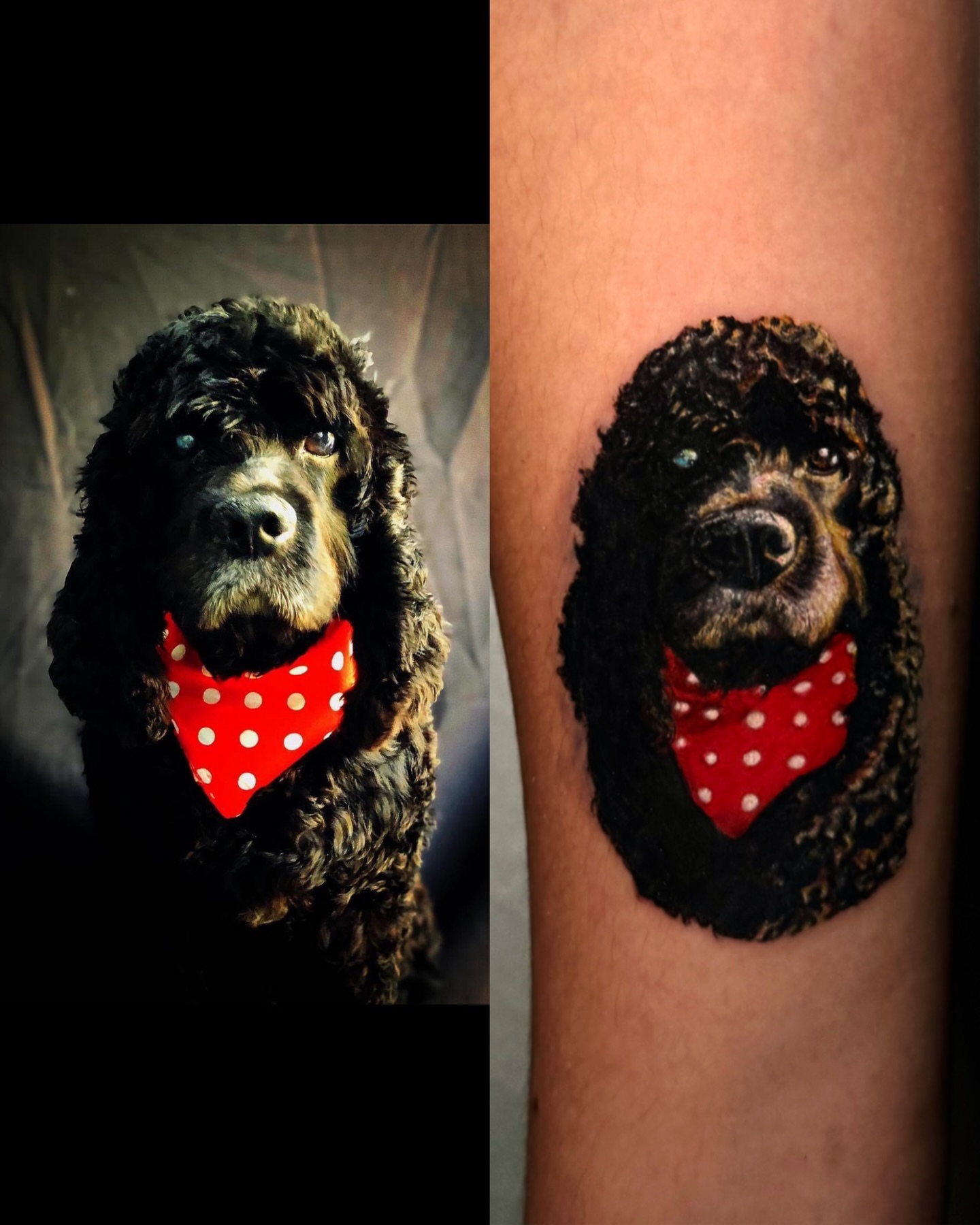 Dog realism tattoo on the forearm by Mishel Castro
