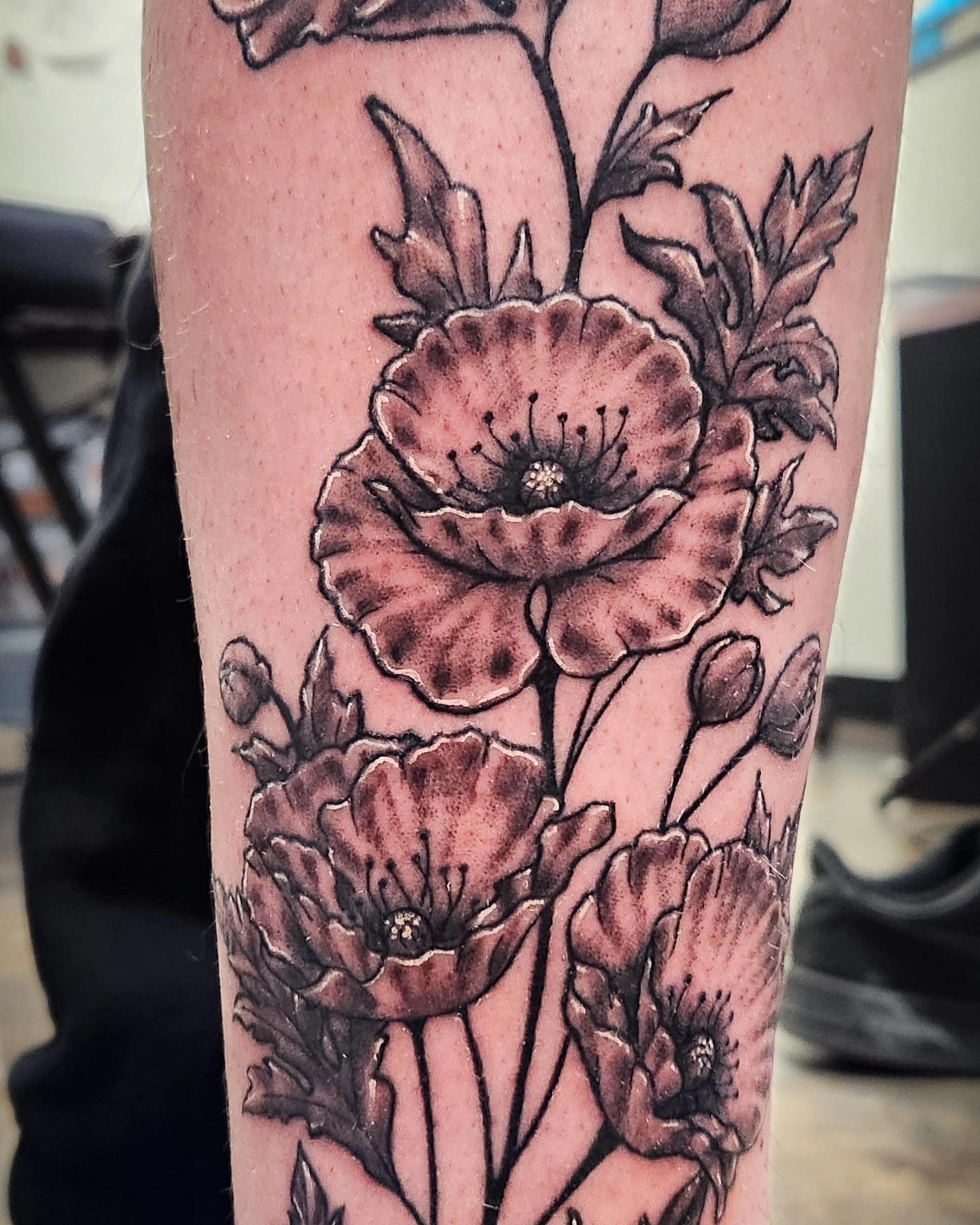Poppy flowers black and grey tattoo on the forearm by Samantha Von Zombia, Saint Paul, Minnesota