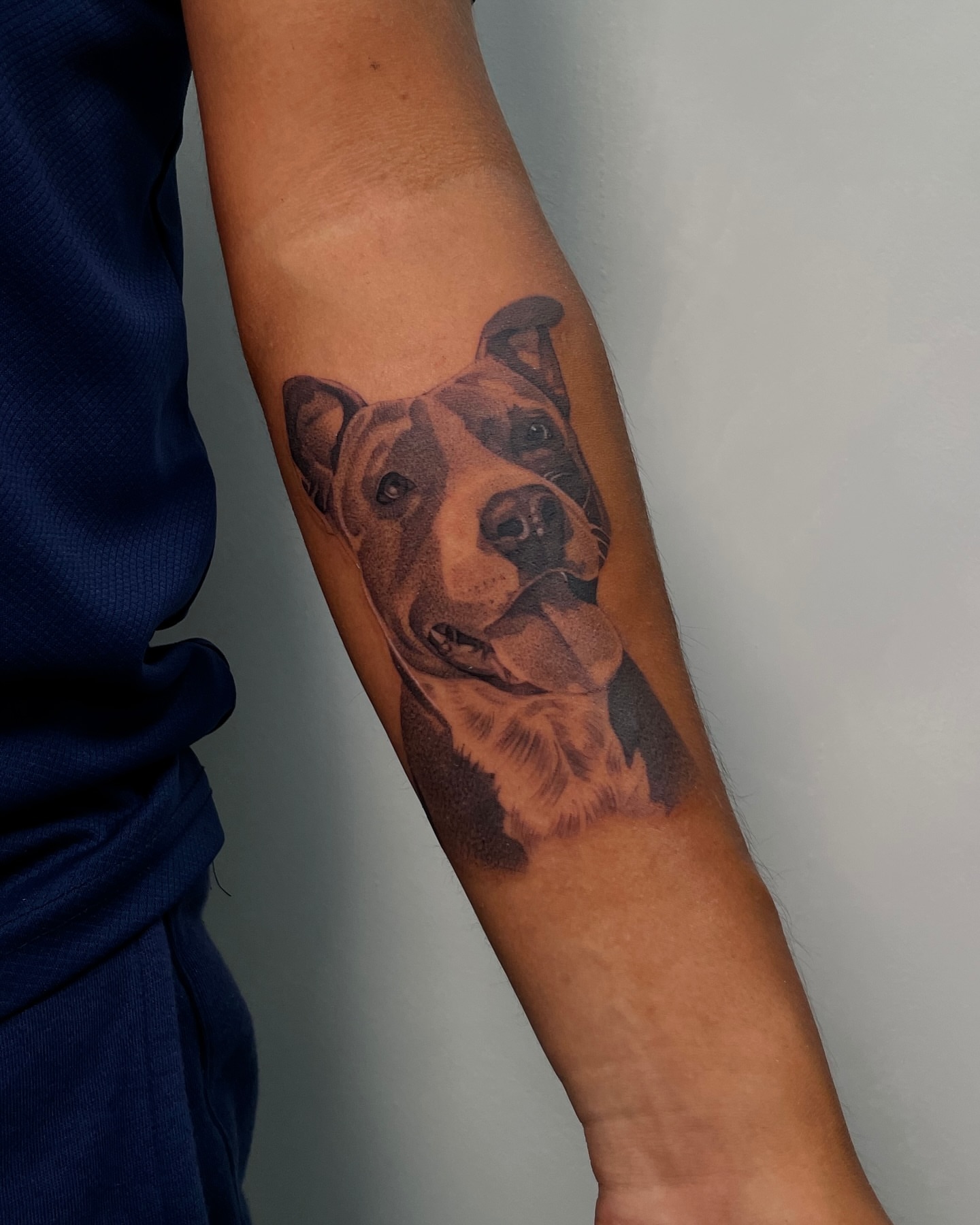 Pitbull realism tattoo on the forearm by Vanessa Valdivia