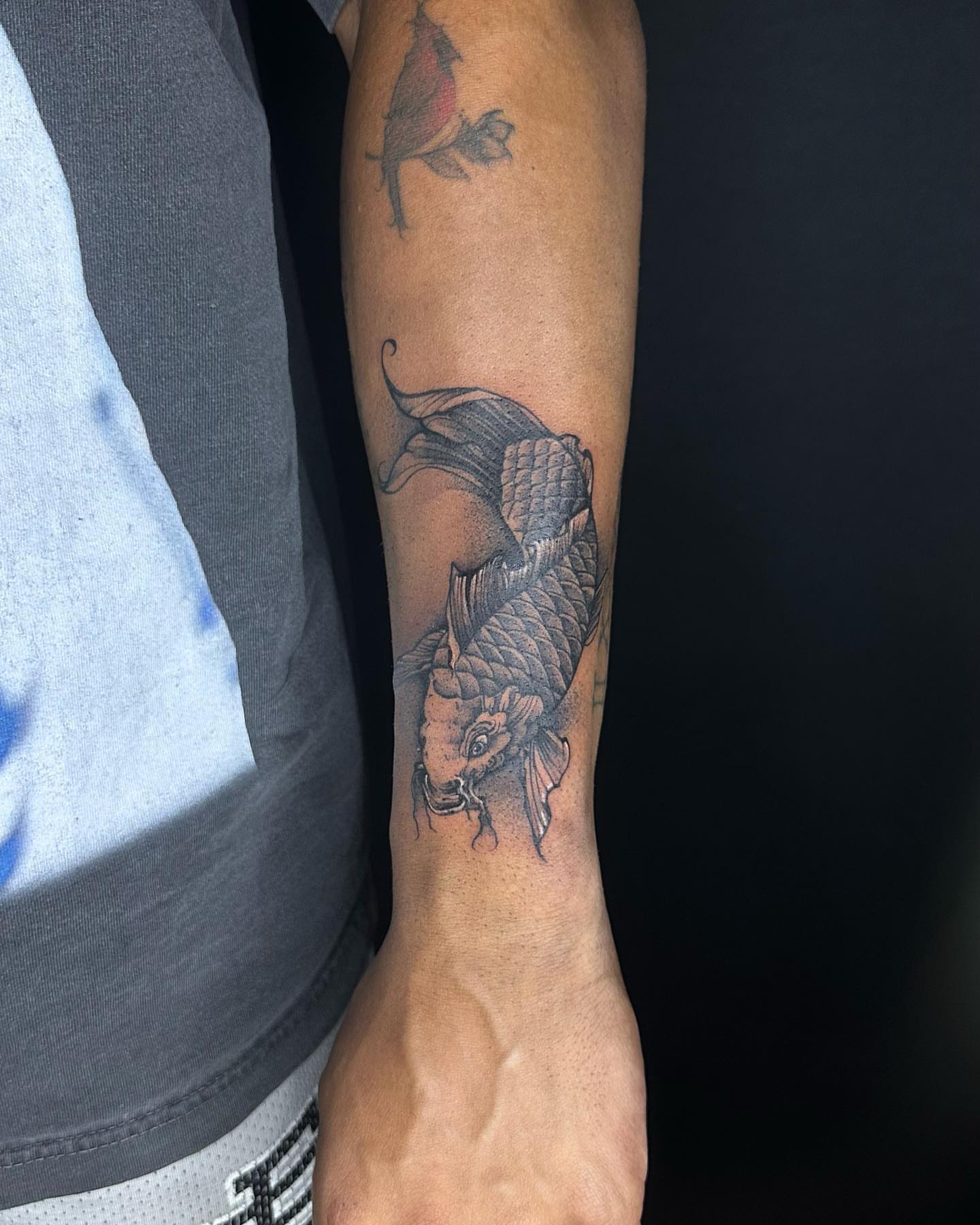 Koi fish dotwork tattoo on the forearm by orlando