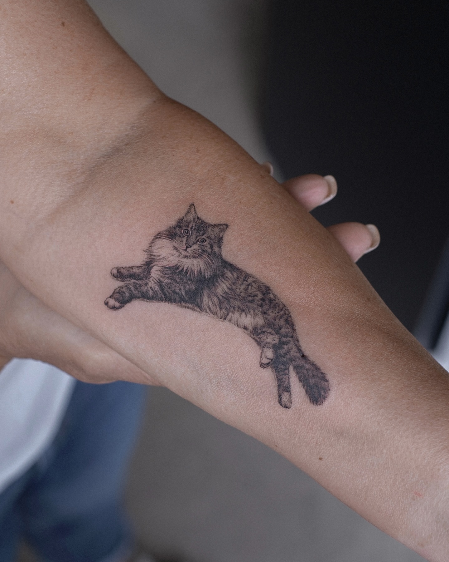 Cat realism tattoo on the forearm by Kate