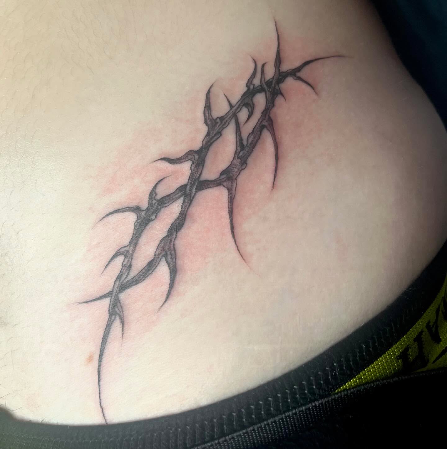 Thorn branch black and grey tattoo on the ribs by βΏ π’πͺπΆπͺπ·π½π±πͺ ππͺπ βΏ