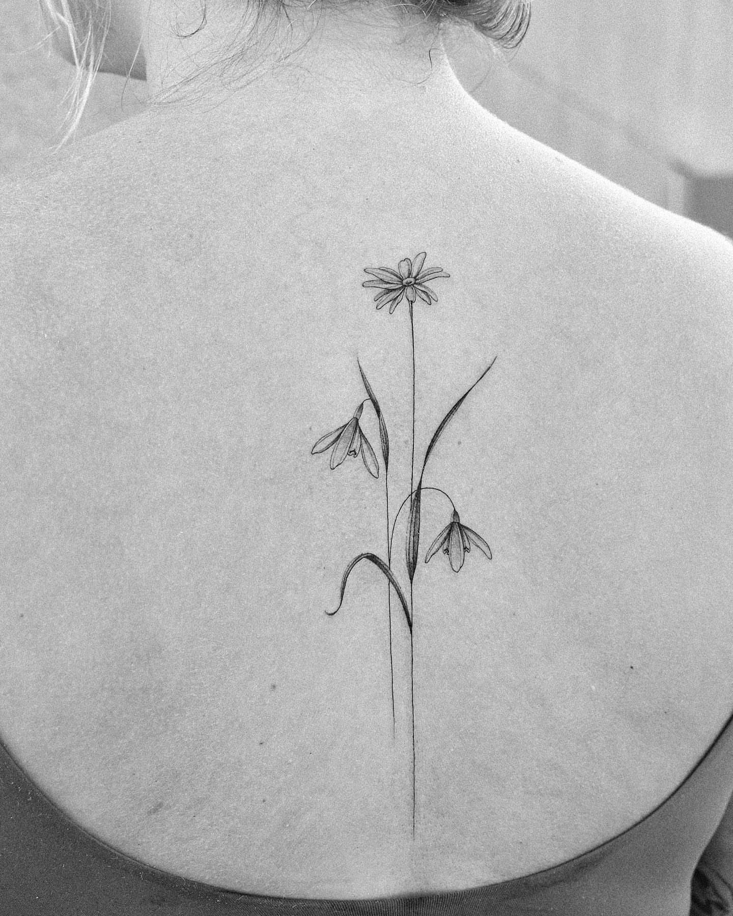 Daisy and snowdrops realism tattoo on the back by ๐๐๐ฆ ๐๐ ๐ฎ๐ฒ๐๐ง
