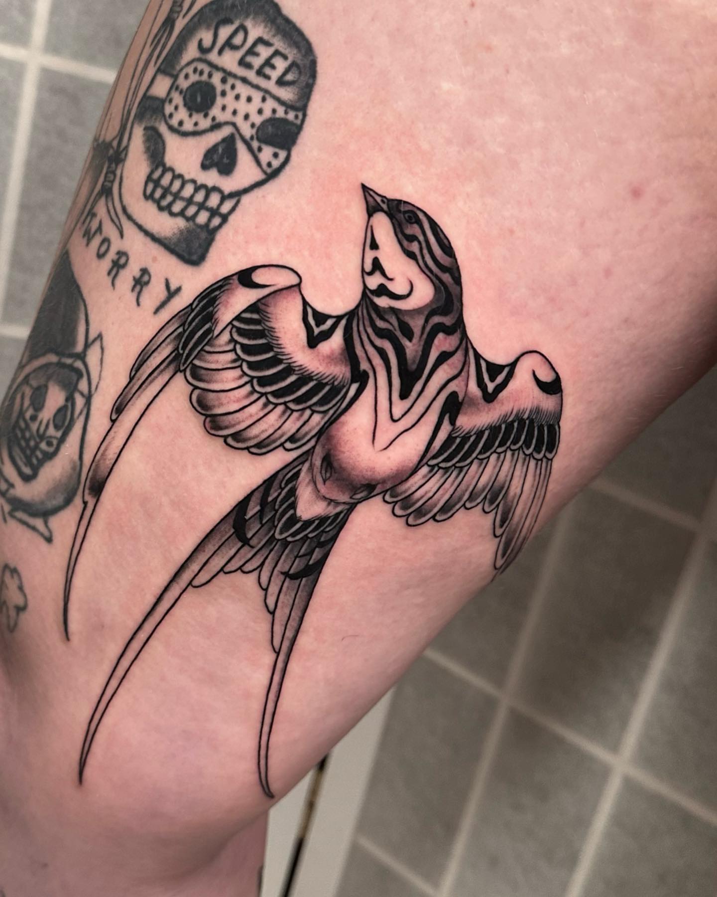 Bird American traditional tattoo on the forearm by Henry Gaßner