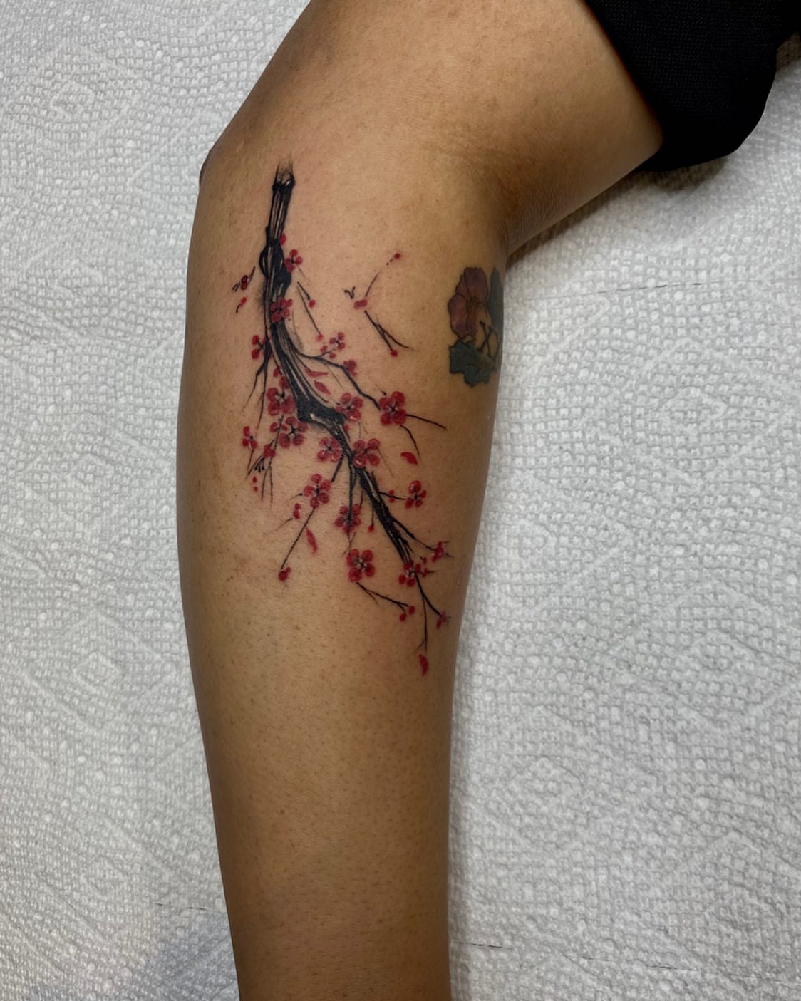 Cherry blossom branch dotwork tattoo on the forearm by Lady.SINatra