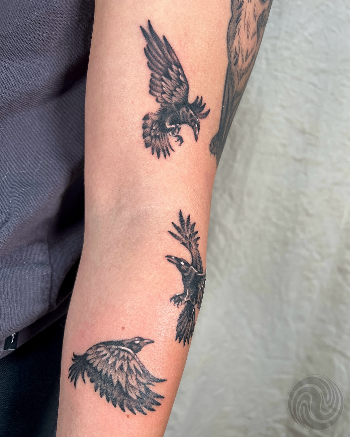 Raven black and grey tattoo on the forearm by 👽 Kat 👽, San Francisco, California