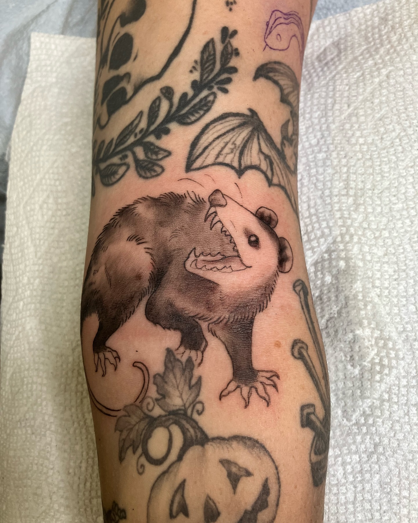 Opossum black and grey tattoo on the forearm by Hunter McGinnis