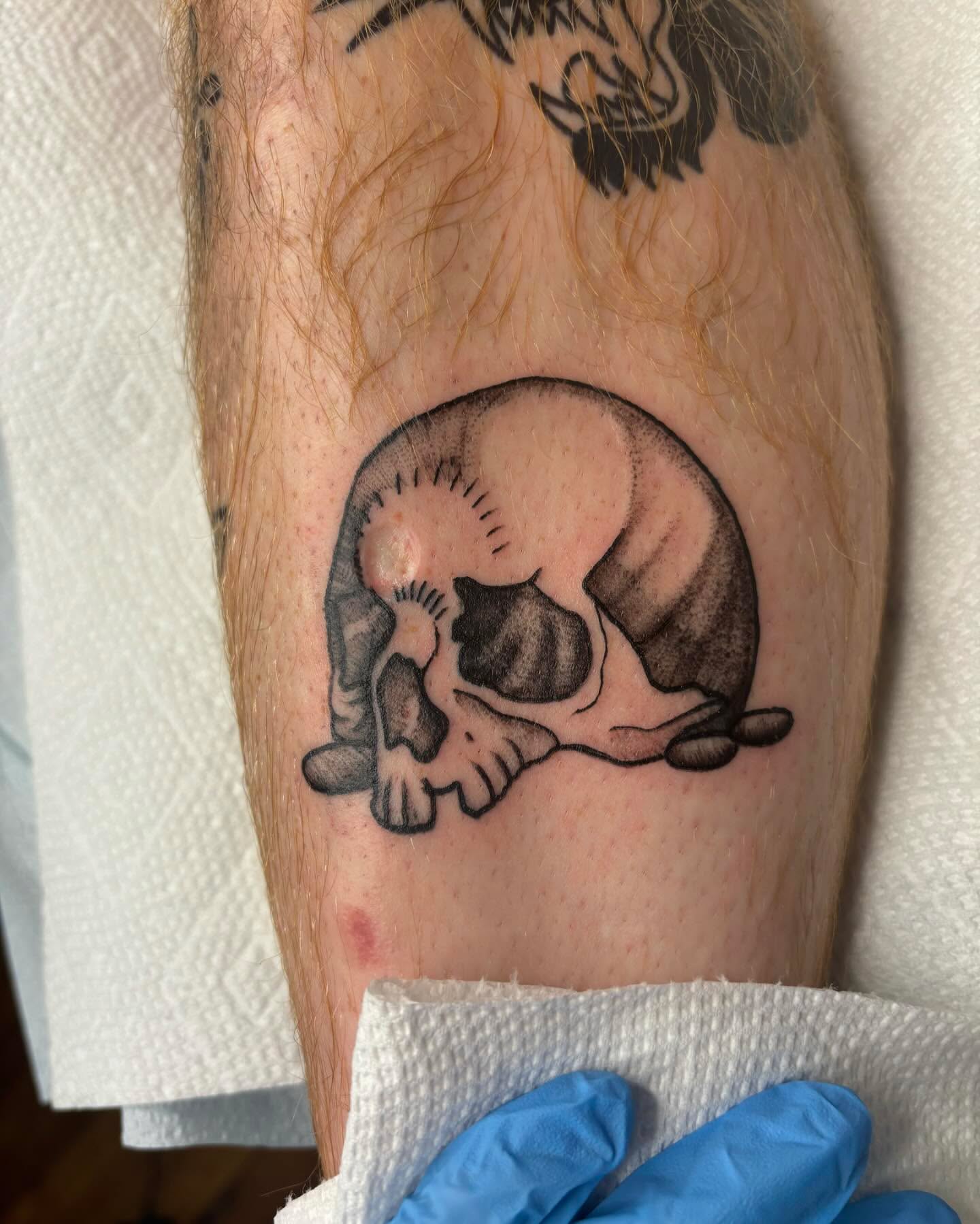 Cat black and grey tattoo on the forearm by Emmy Gallagher