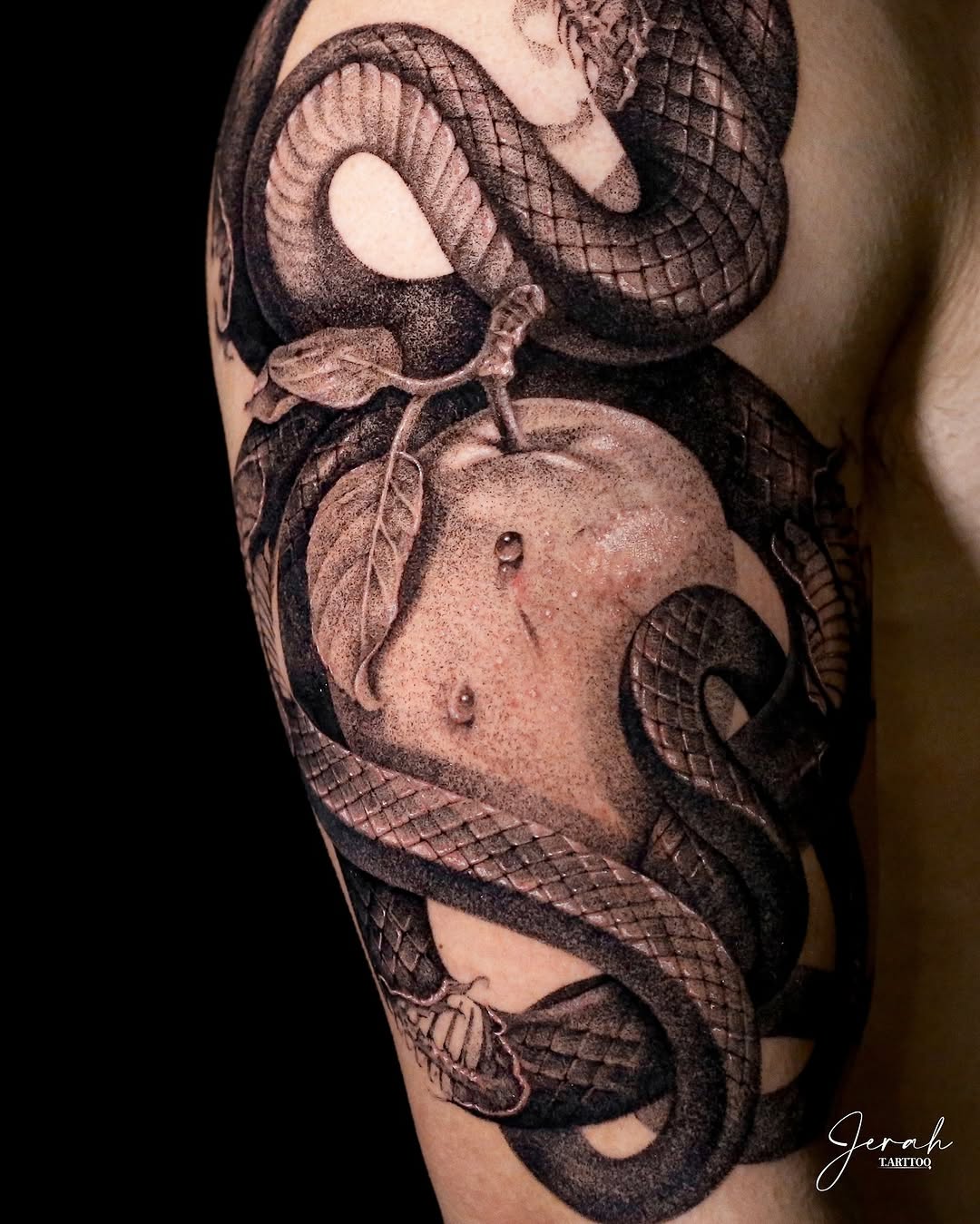 Tattoo by @t.arttoo_jerah — realism, dotwork