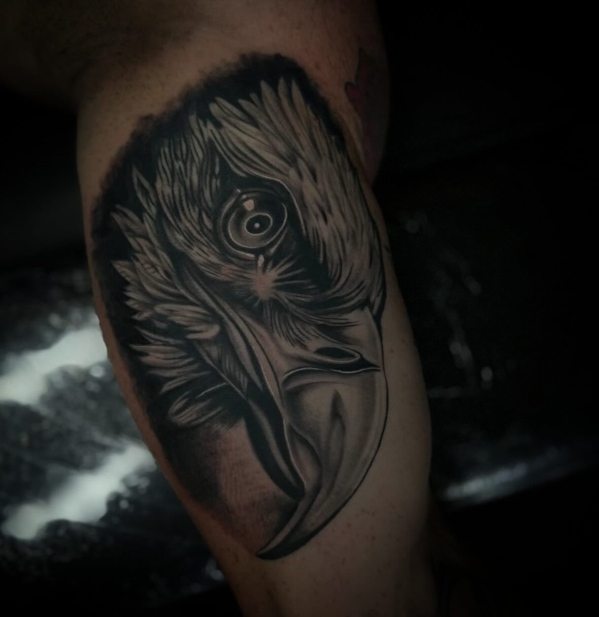 Owl realism tattoo on the forearm by Christopher McGlone
