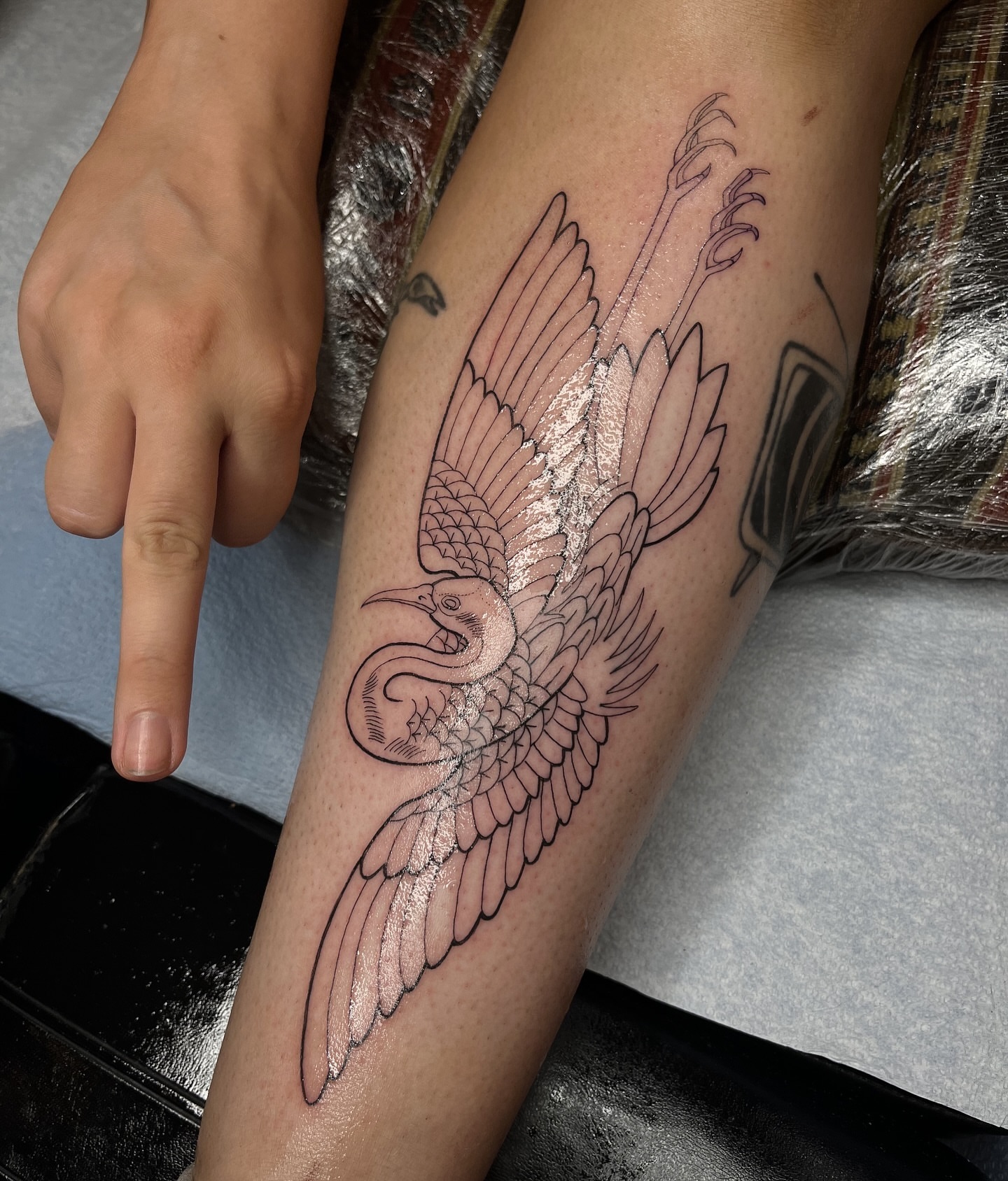 Bird black and grey tattoo on the forearm by Taylor Newton