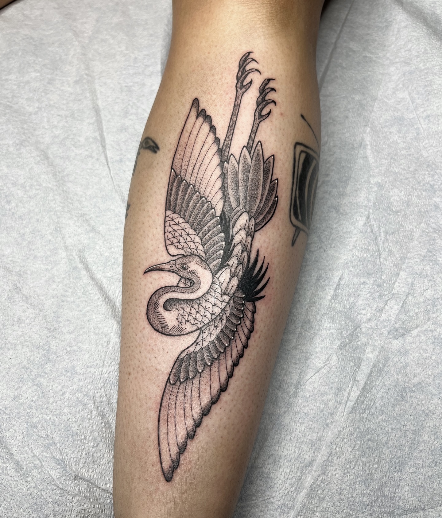 Bird black and grey tattoo on the forearm by Taylor Newton