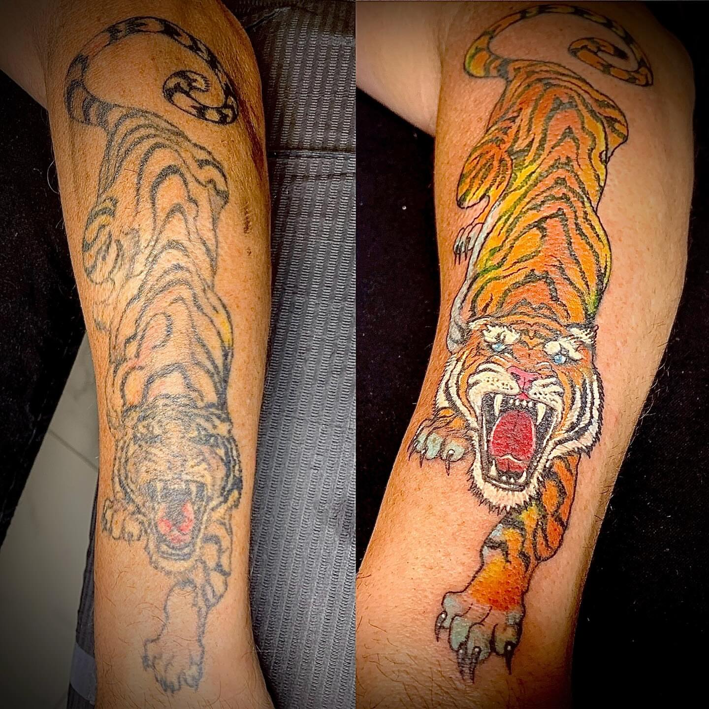 Tiger American traditional tattoo on the forearm by @colorrobbie