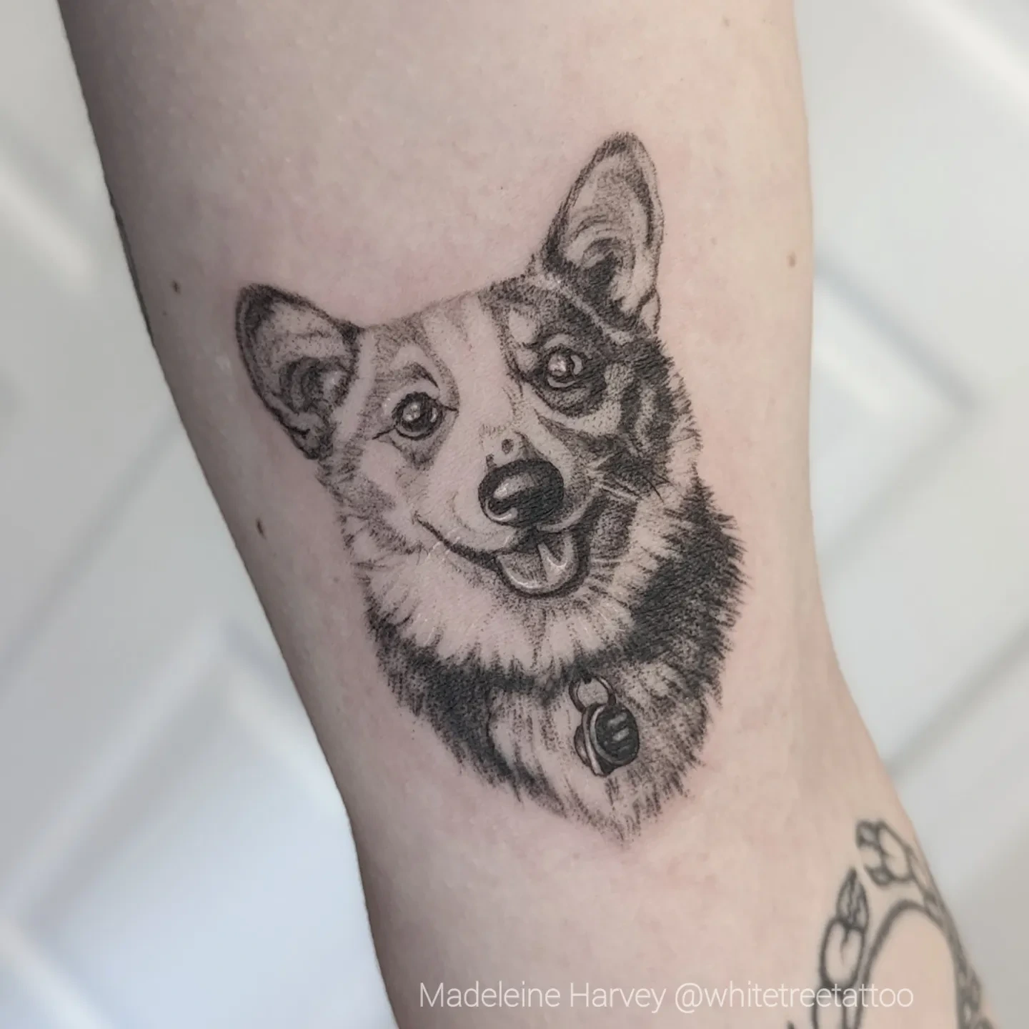 Dog realism tattoo on the forearm by Maddie