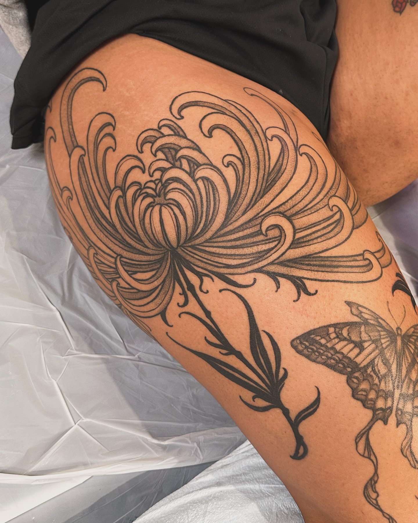 Chrysanthemum and butterfly black and grey tattoo on the thigh by abigail 🌸