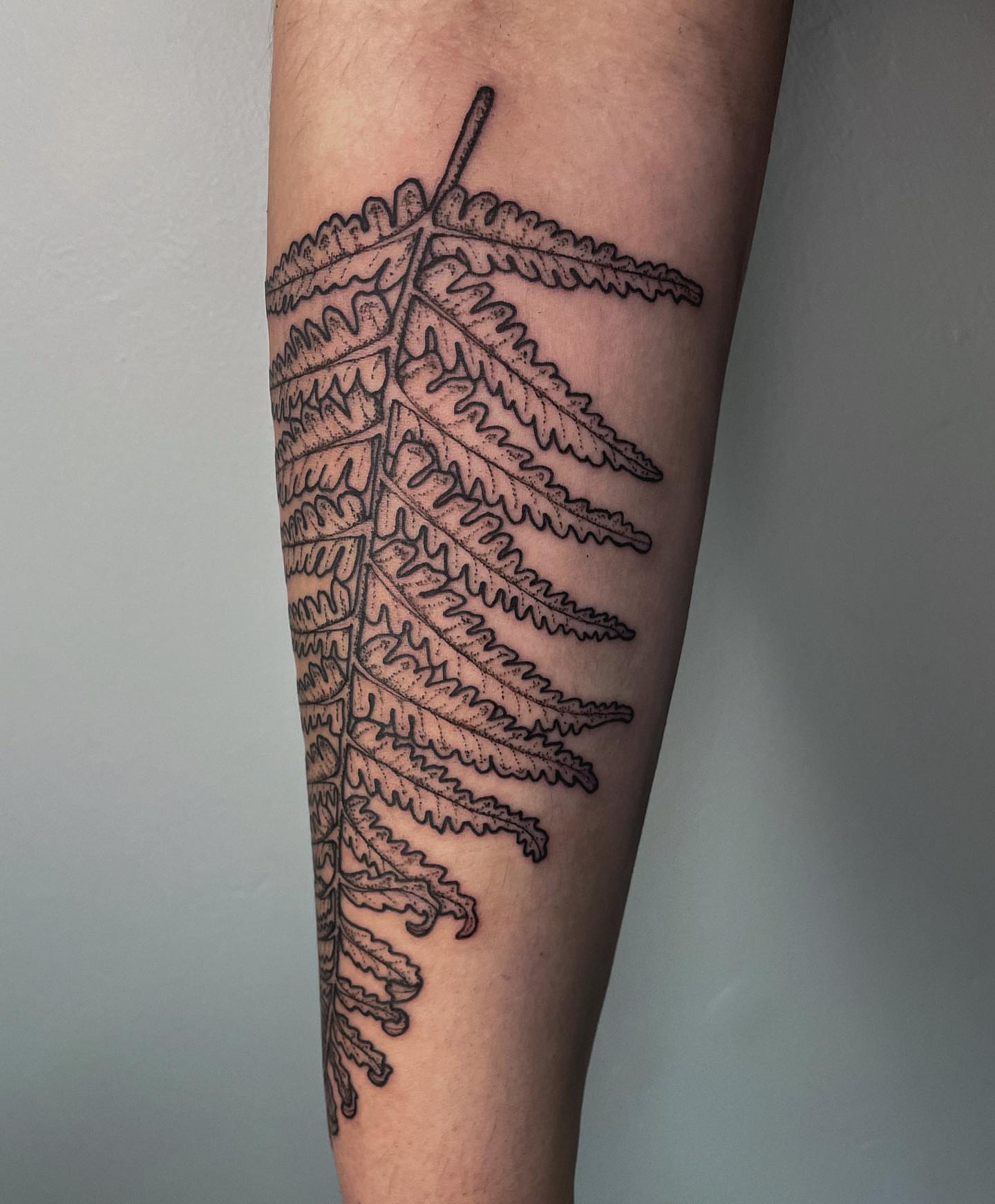 Tattoo by @allieruck_tattoos — dotwork