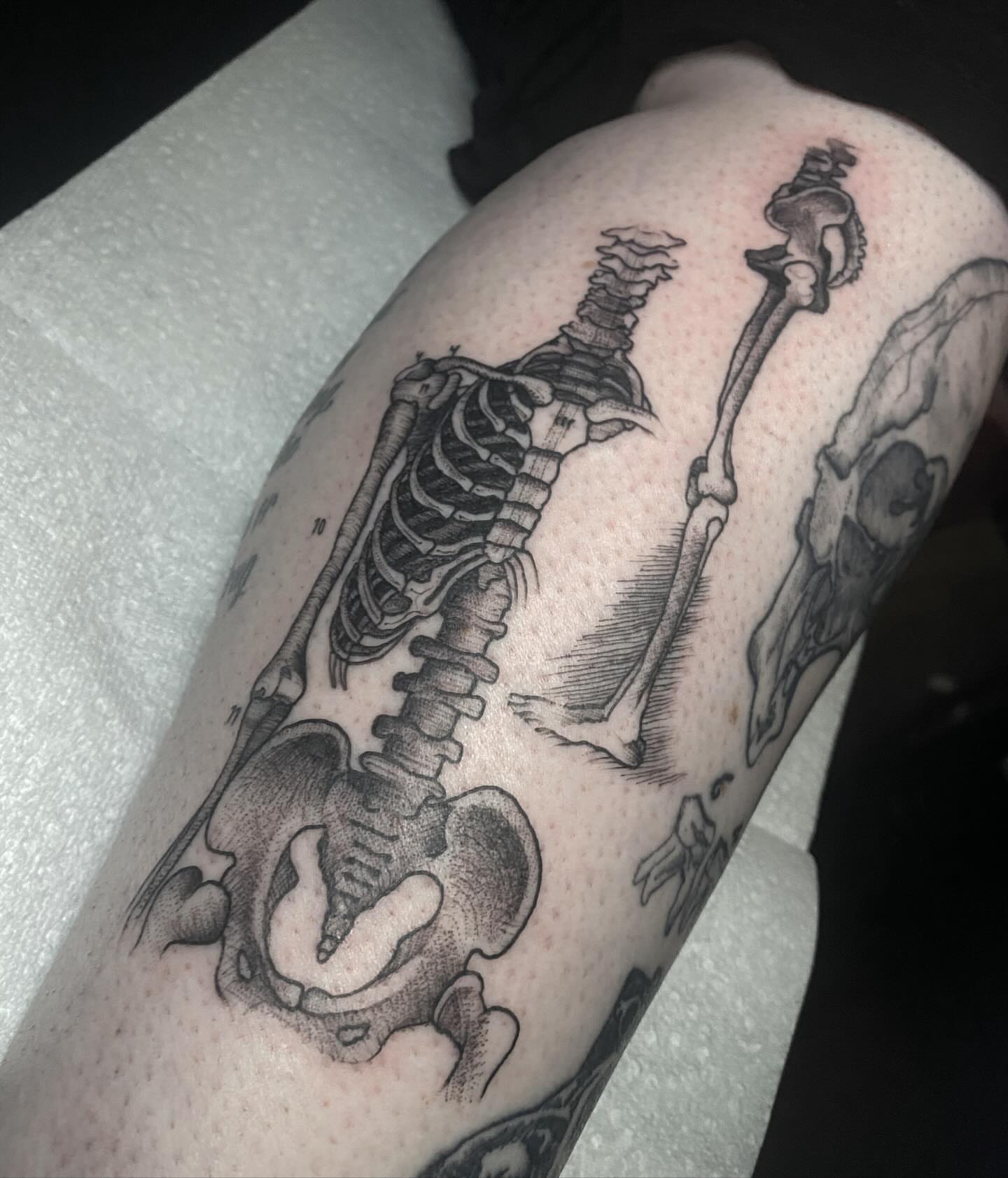 Skeleton black and grey tattoo on the thigh by 𝔈𝔯𝔦𝔫 𝔊𝔦𝔩𝔩𝔦𝔩𝔞𝔫𝔡, Springfield, Ohio